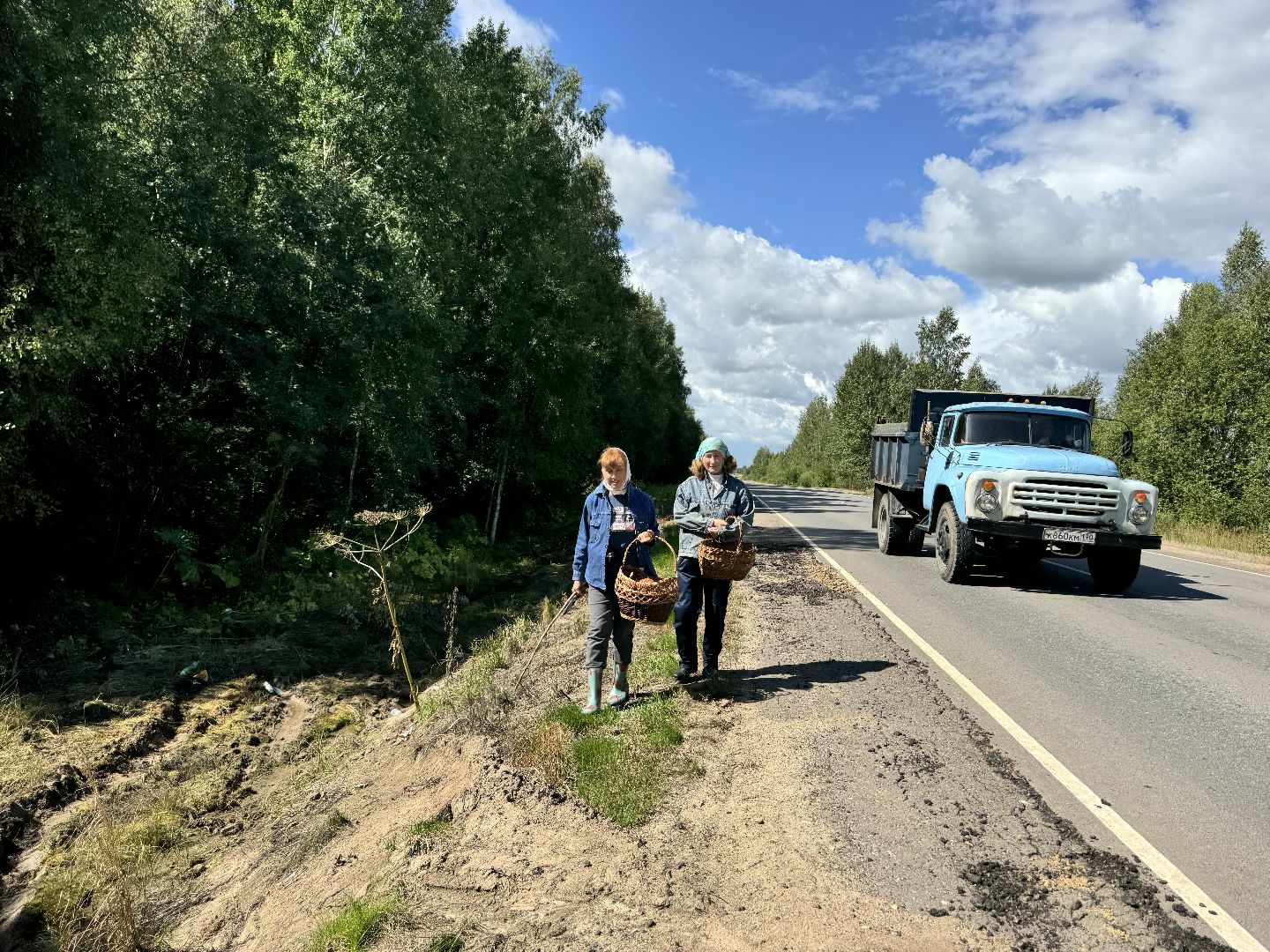 шаховская, грибы, грибы в лесу, грибной сезон,