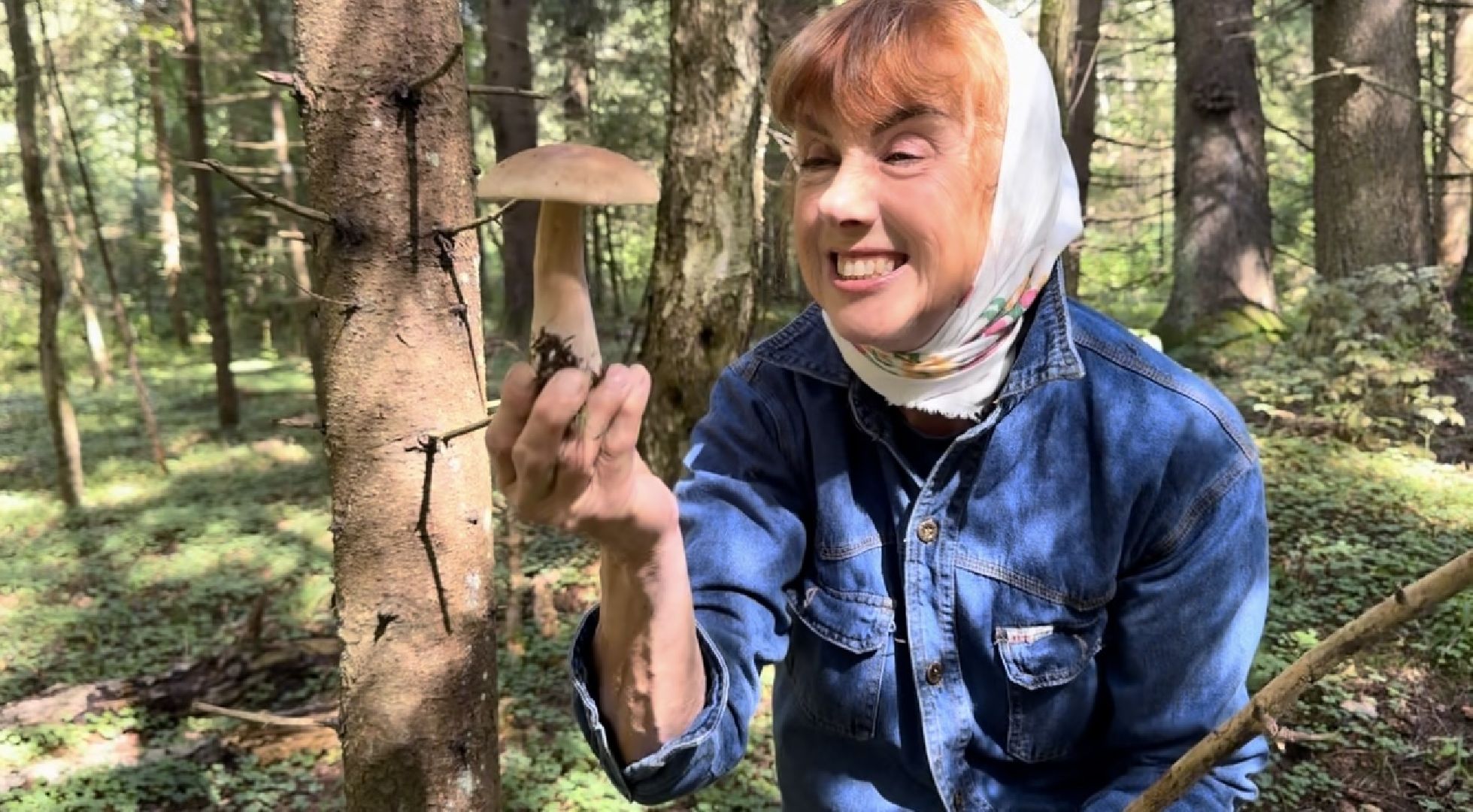 шаховская, грибы, грибы в лесу, грибной сезон,