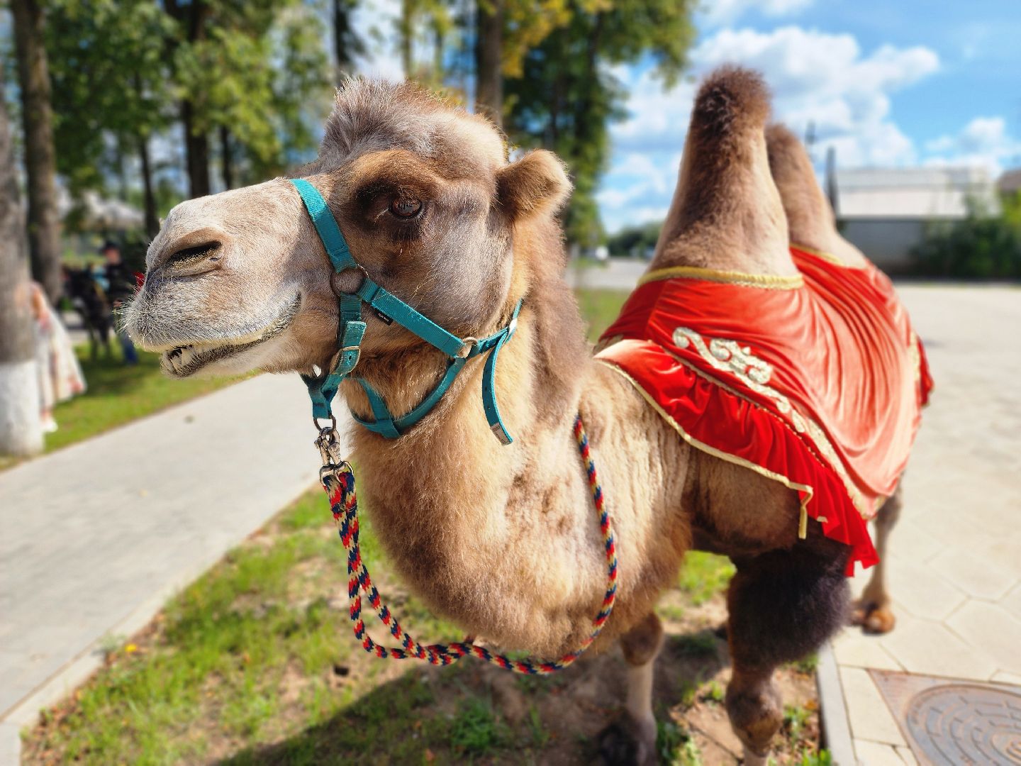 тучково, день тучково, 120 лет тучково, культура, руза, рузский городской округ, праздник,