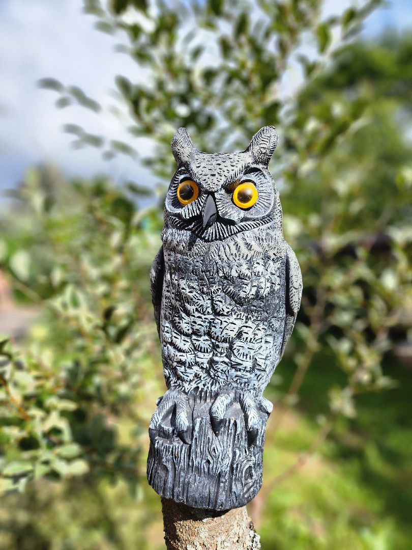 Образование, образование в подмосковье, образование Рузский округ, безопасность, московская область, руза, рузский городской округ,