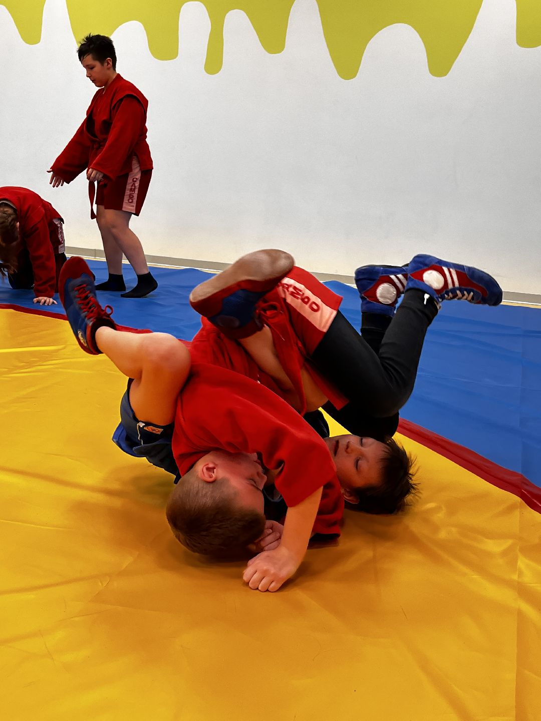 Можайск, общество