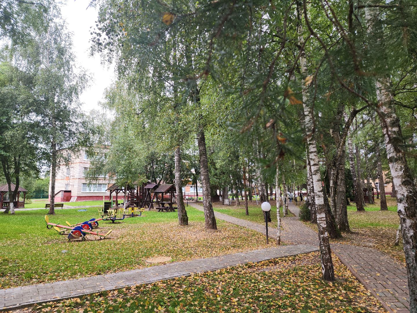 Курская область, Волонтеры Подмосковья, Помощь жителям Курской области, Автобусы из Курской области,