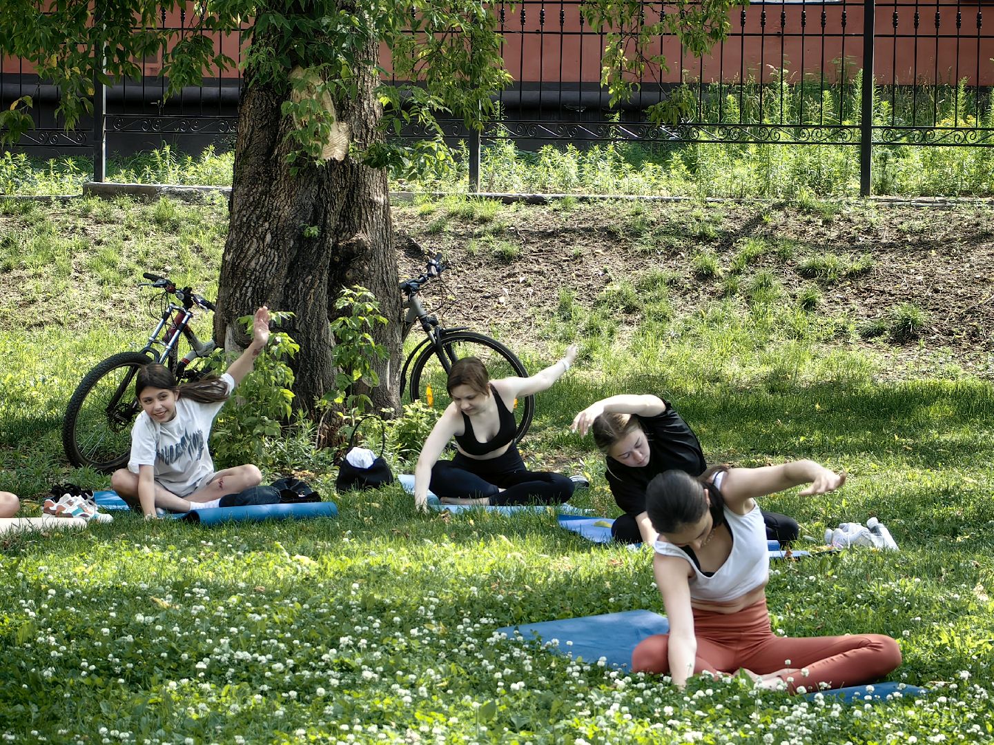 день физкультурника, парк, спорт, забег, тренировка,