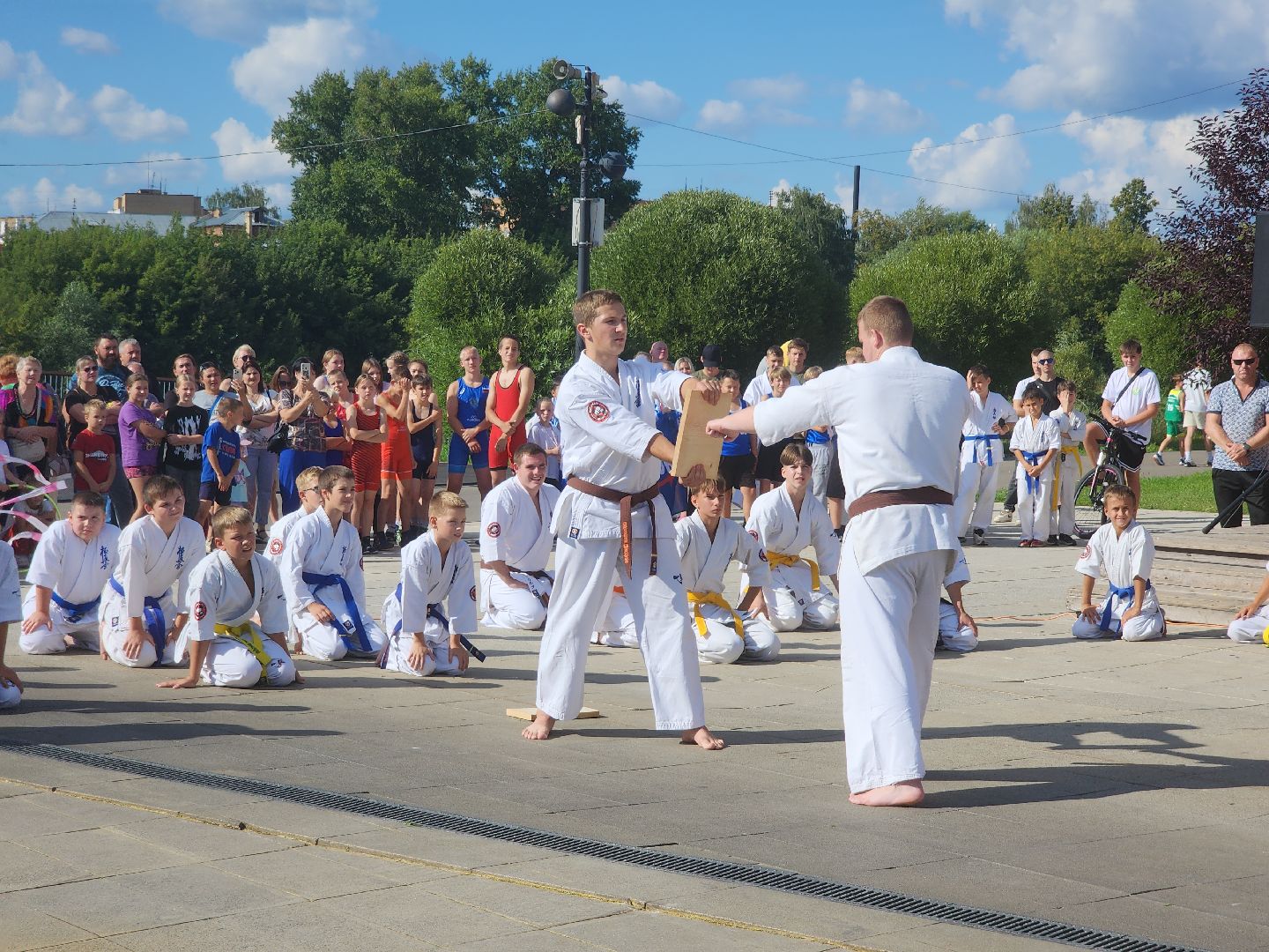 Фестиваль боевых искусств, орехово-зуево,