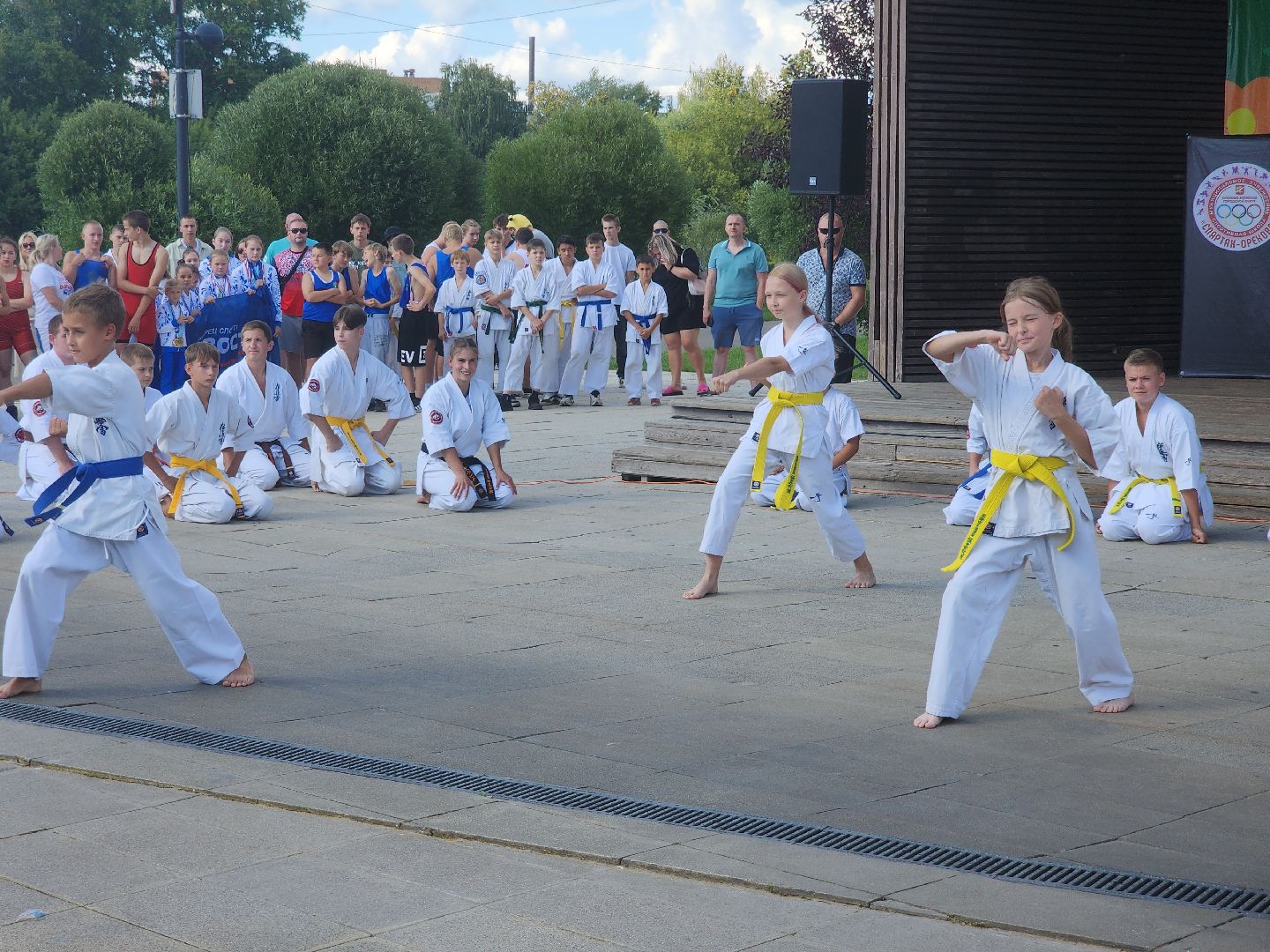 Фестиваль боевых искусств, орехово-зуево,