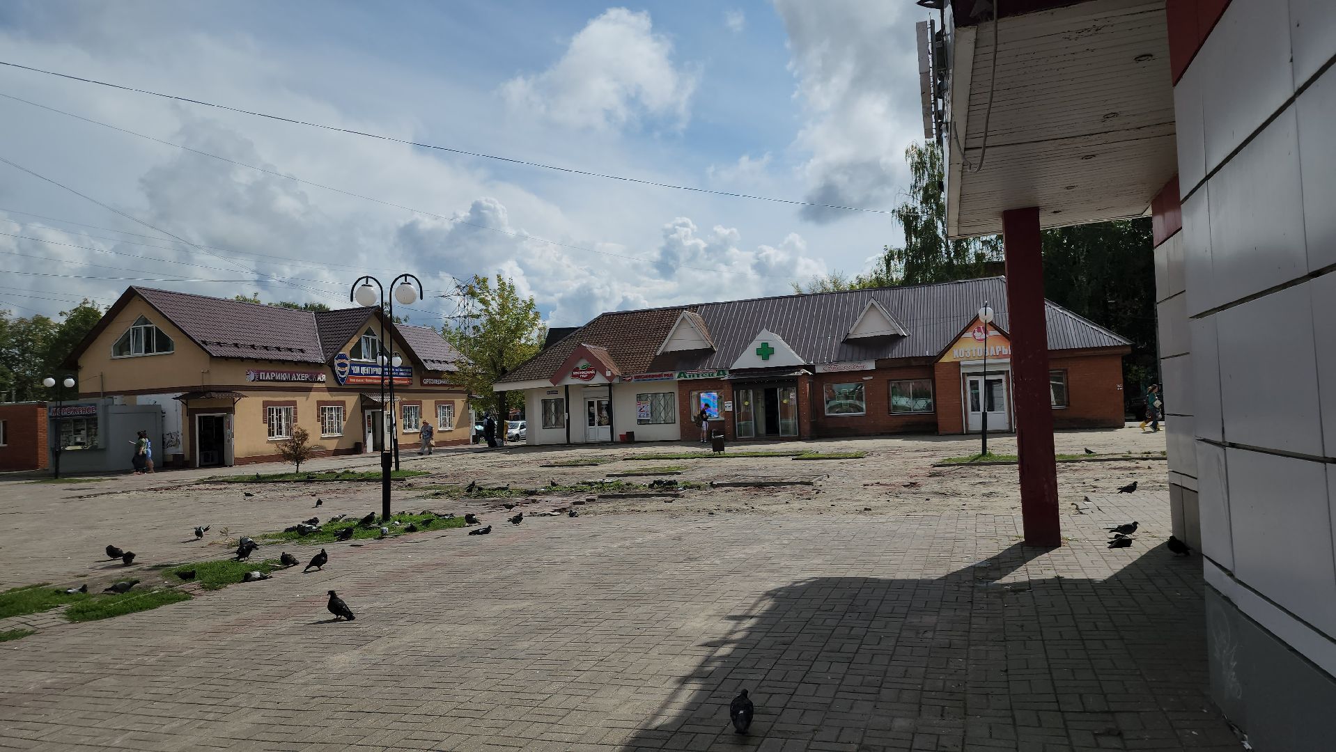 Жители, Электрогорск, Площадь, Благоустройство,Городской округ Павловский Посад, Люди,