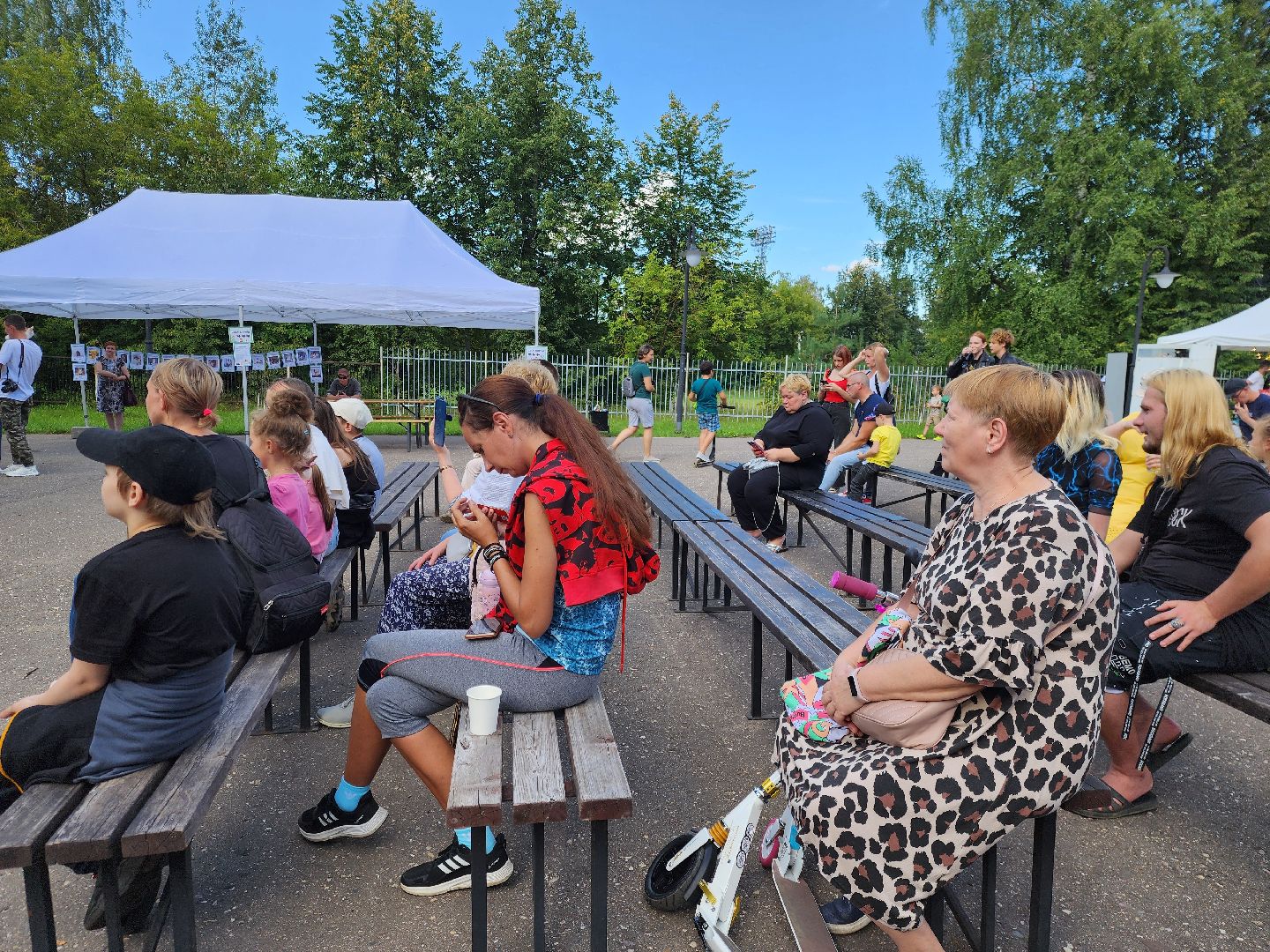 рок в защиту животных, рок фестиваль, богородский городской округ, ногинск, общество, жители, благотворительность,