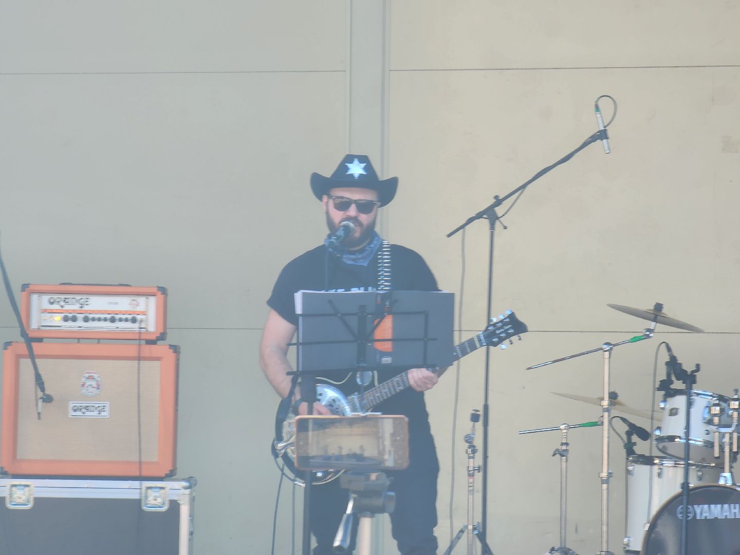 рок в защиту животных, рок фестиваль, богородский городской округ, ногинск, общество, жители, благотворительность,
