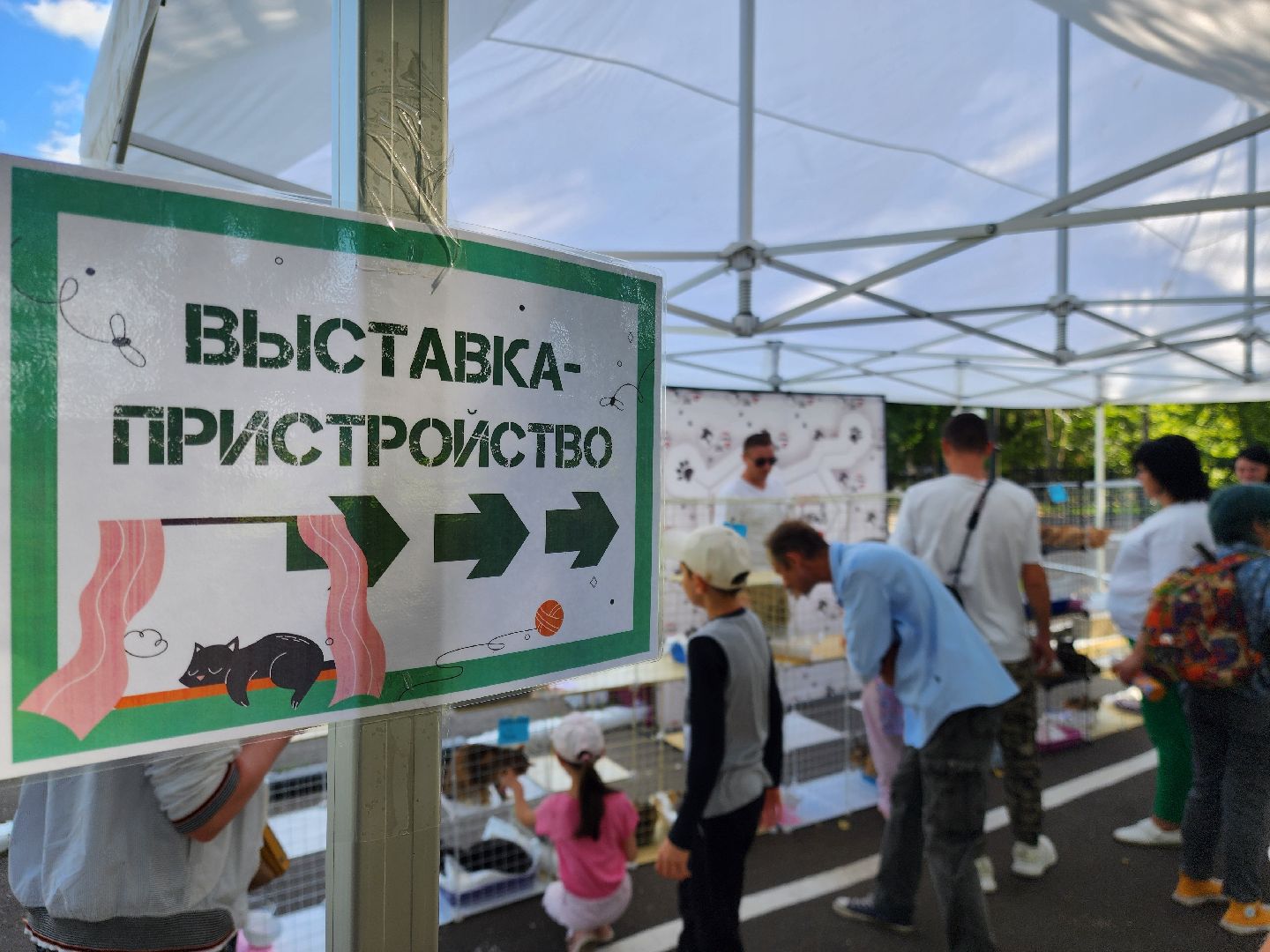 ногинск, жители, общество, рок в защиту животных, фестиваль рока, благотворительный фестиваль, кот, приют, кошачий приют, благотворительность,