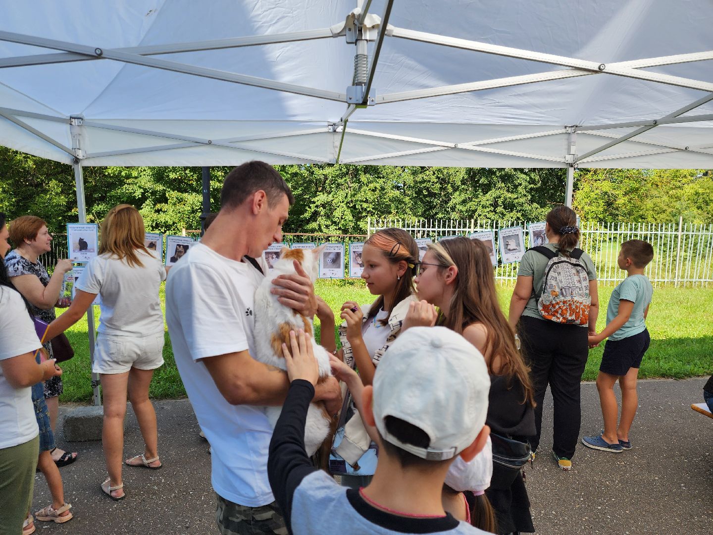 ногинск, жители, общество, рок в защиту животных, фестиваль рока, благотворительный фестиваль, кот, приют, кошачий приют, благотворительность,