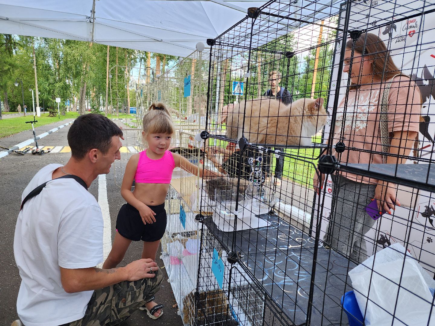 ногинск, жители, общество, рок в защиту животных, фестиваль рока, благотворительный фестиваль, кот, приют, кошачий приют, благотворительность,