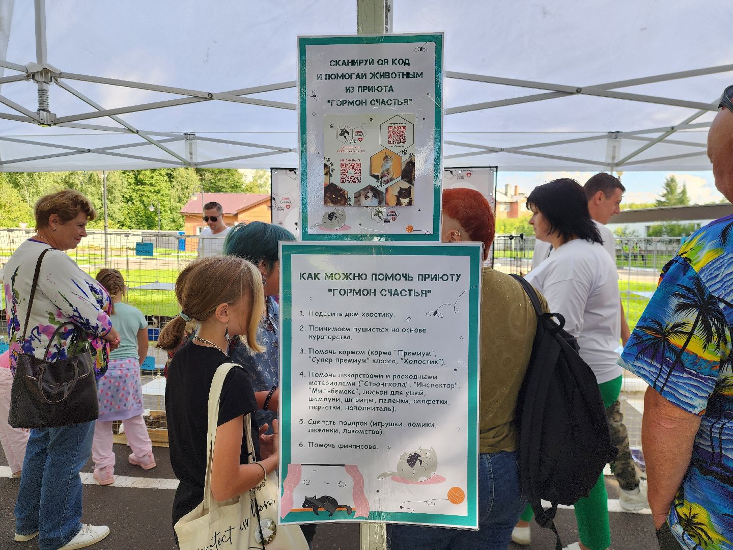 ногинск, жители, общество, рок в защиту животных, фестиваль рока, благотворительный фестиваль, кот, приют, кошачий приют, благотворительность,