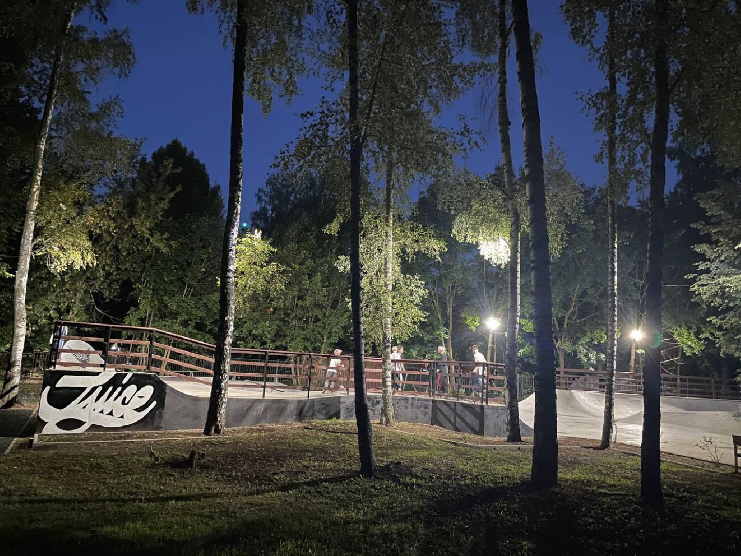 Дмитров, Парк Березовая роща, Fast Cars Dmitrov,