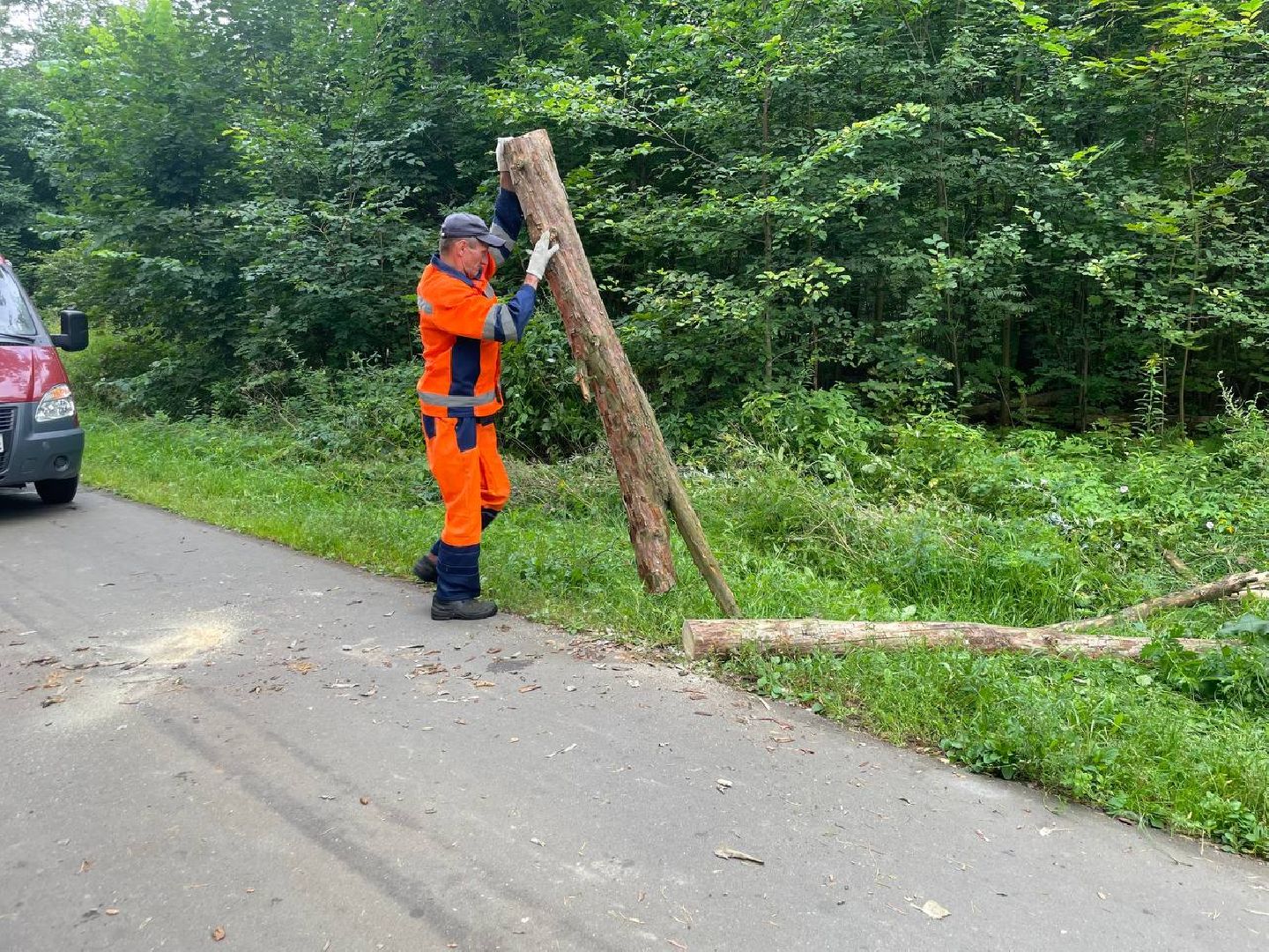 Черноголовка, жкх, обращение жителей, деревья,