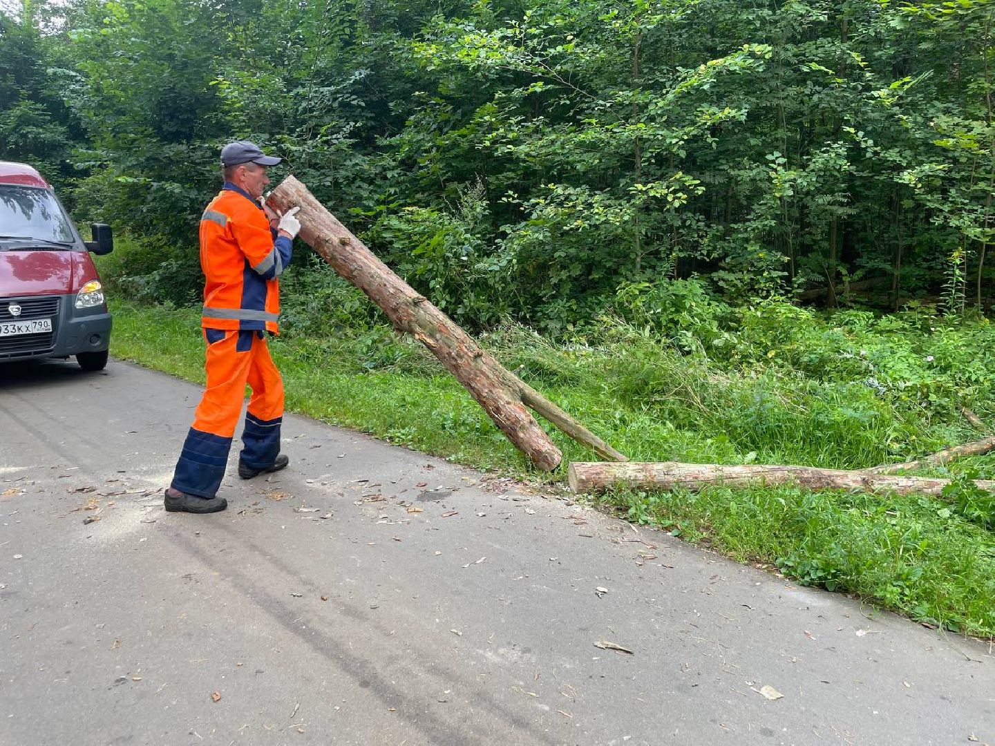 Черноголовка, жкх, обращение жителей, деревья,