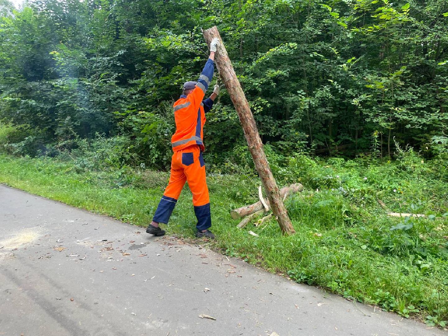 Черноголовка, жкх, обращение жителей, деревья,