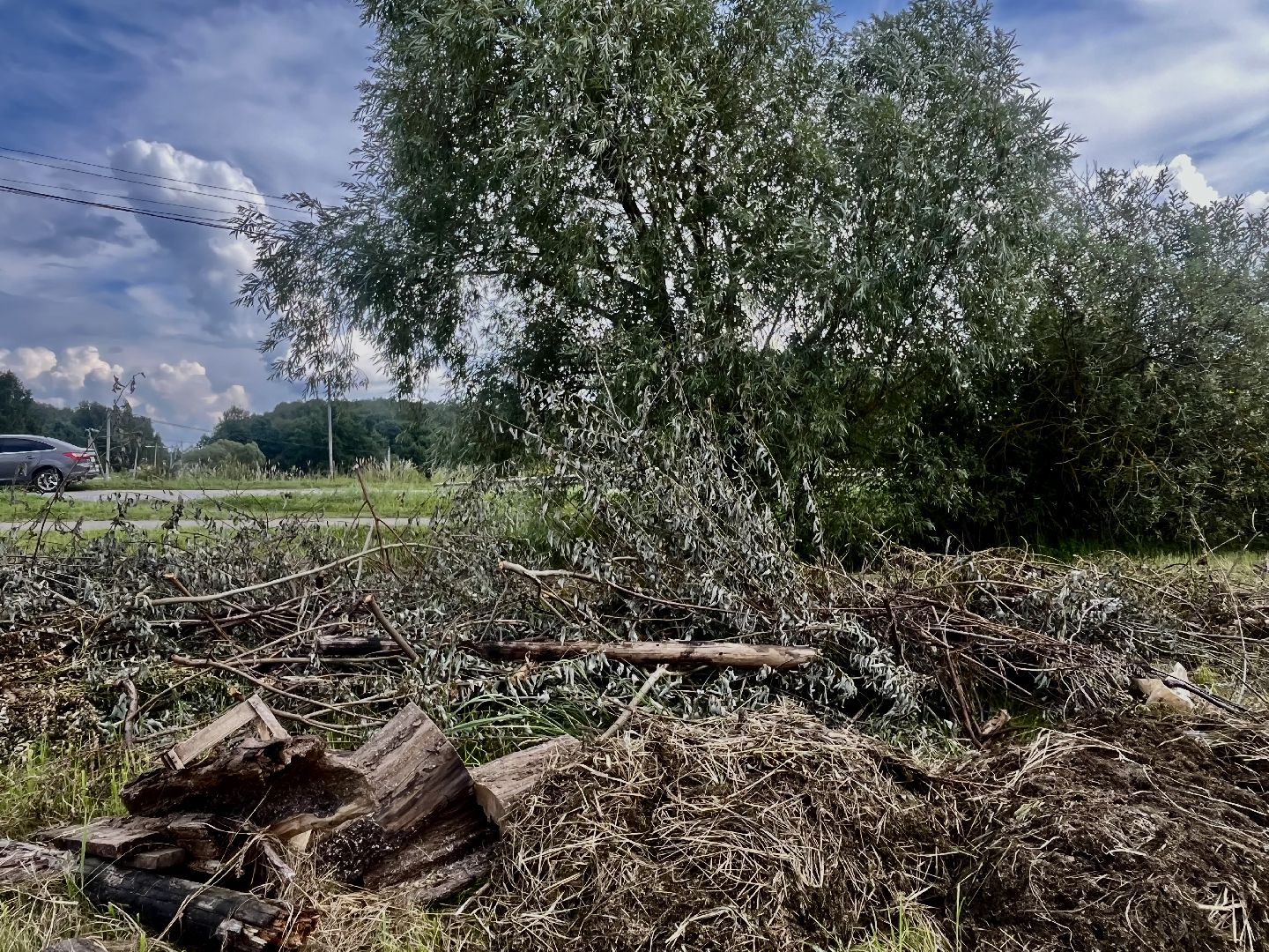 100 прудов и озер, санитарная очистка пруда, экология подмосковья, олег рожнов, наро-фоминский городской округ,