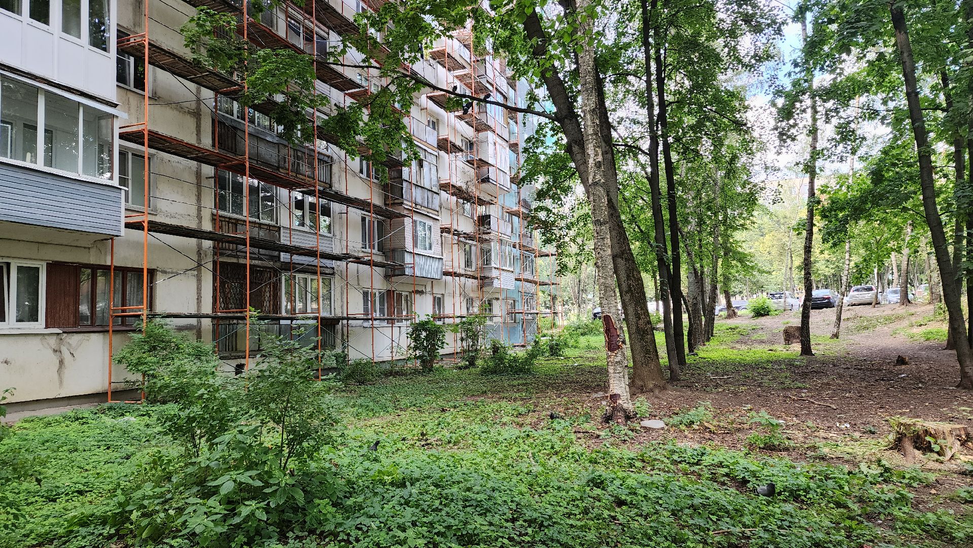 пушкино, ремонт мкд, капремонт, капремонт жилого фонда, крыша, фасадные работы,