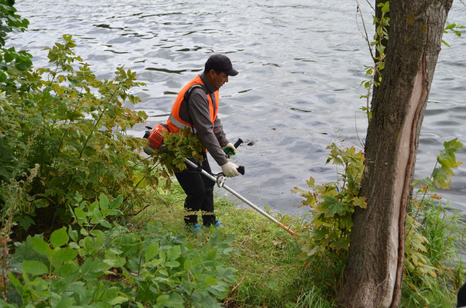 Люберцы, Большой Красковский карьер, расчистка акватории,