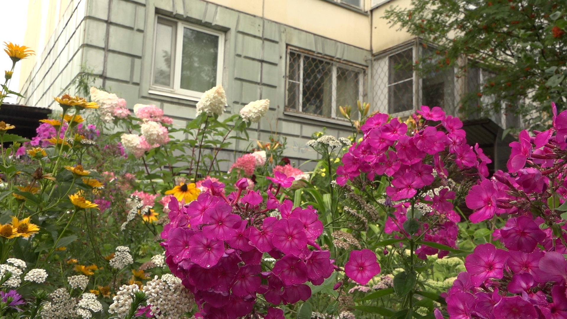 благоустройство территории, комплексное благоустройство двора, власиха благоустройство территории, новая детская площадка, игровой комплекс Власиха,