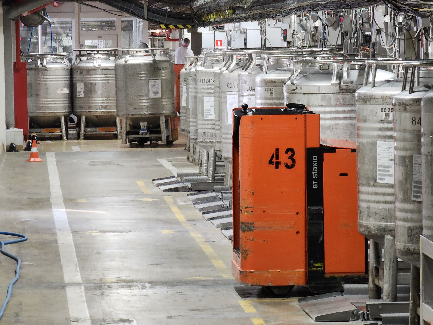 Чехов, поселок Любучаны, молочное производство, новые рабочие места, молодые специалисты, молочный завод, профориентация,