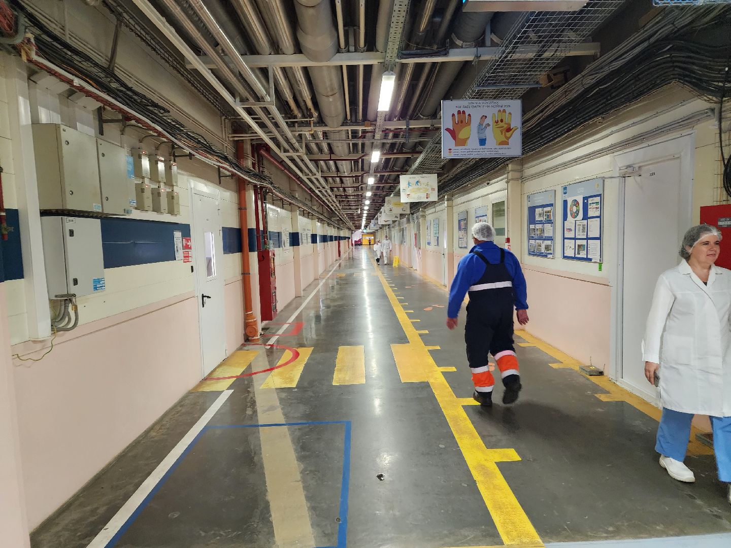 Чехов, поселок Любучаны, молочное производство, новые рабочие места, молодые специалисты, молочный завод, профориентация,