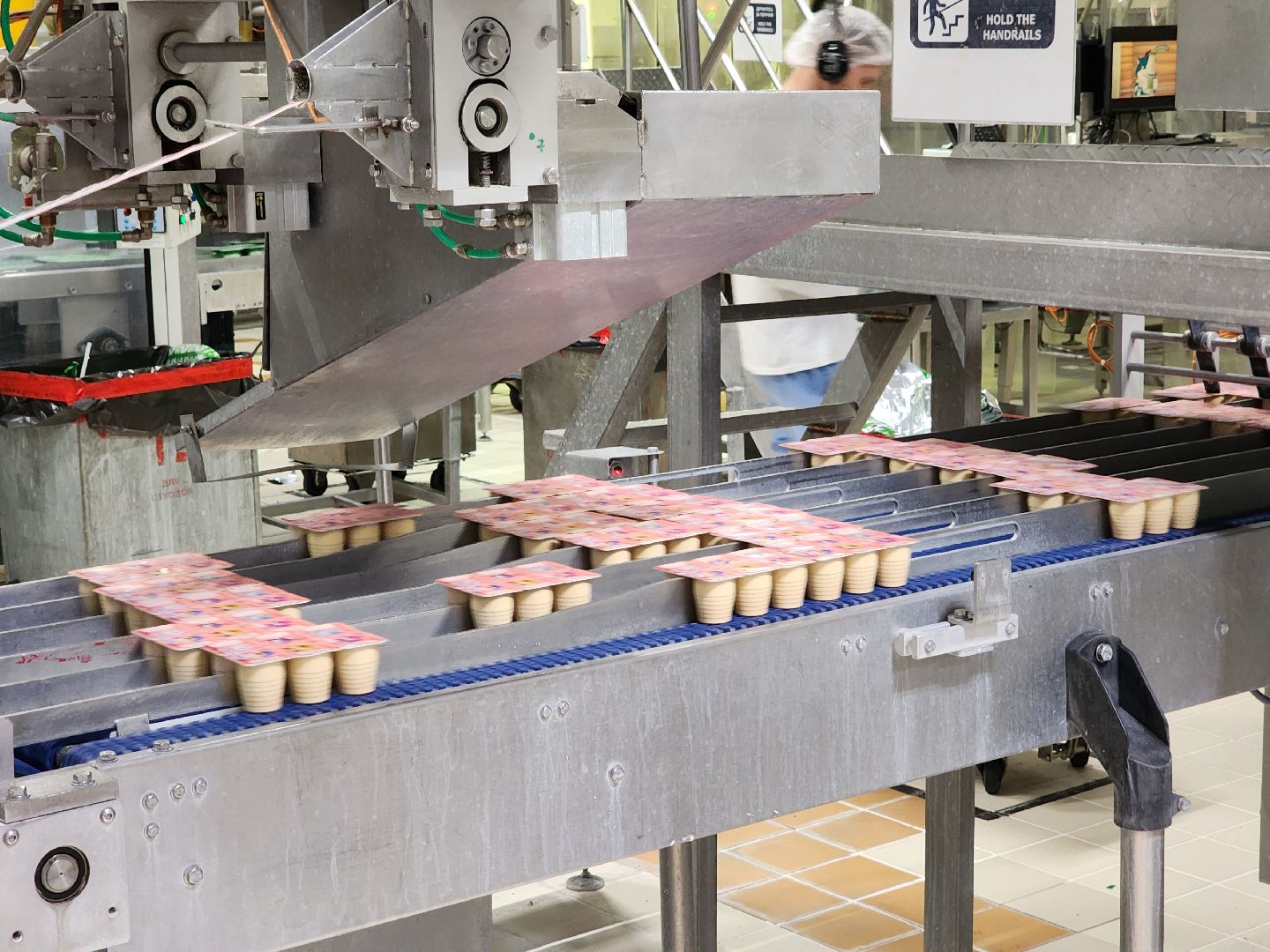 Чехов, поселок Любучаны, молочное производство, новые рабочие места, молодые специалисты, молочный завод, профориентация,