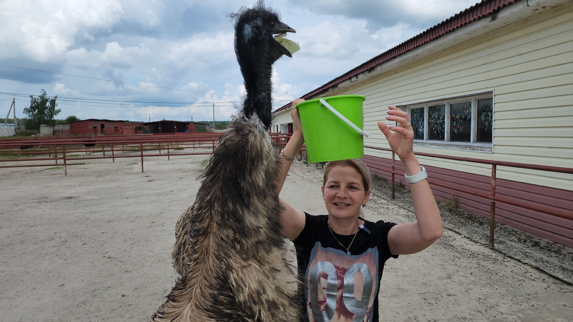 серпухов, подмосковье, австралийские эму, экоферма, русский страус,