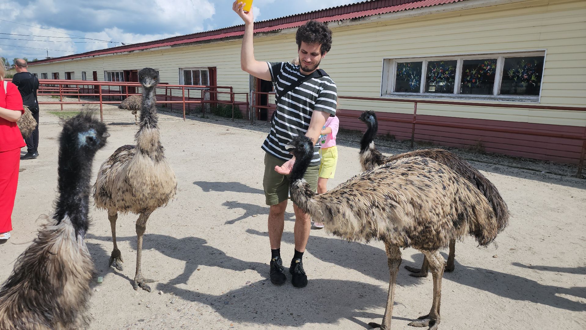 серпухов, подмосковье, русский страус, экоферма,