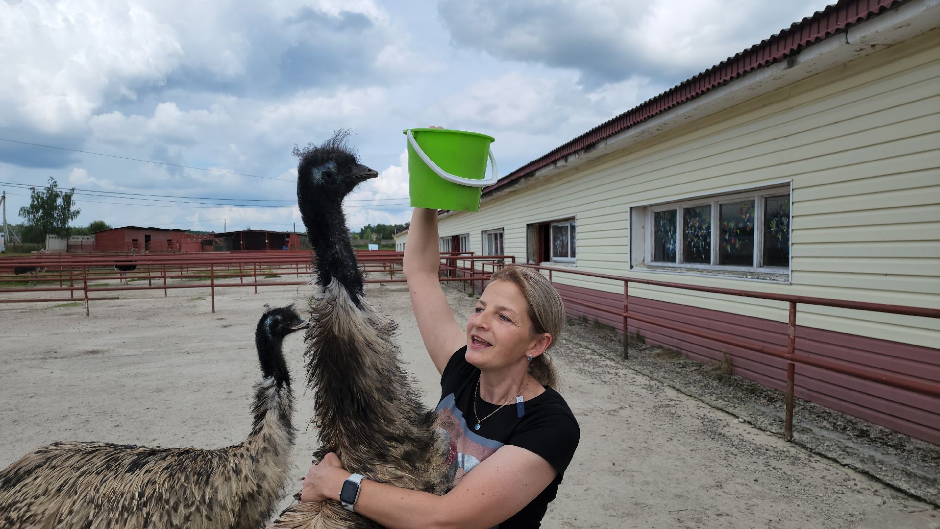 серпухов, подмосковье, русский страус, экоферма,