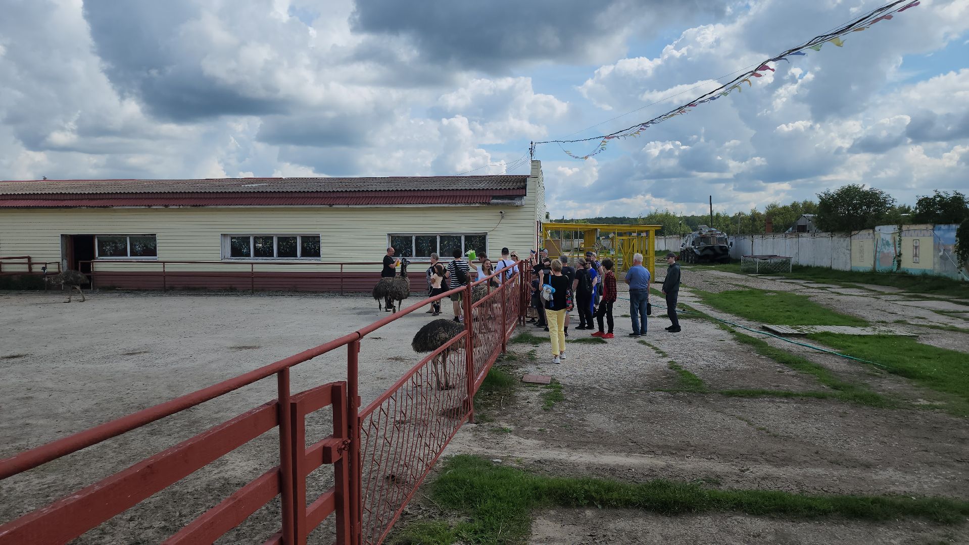 серпухов, подмосковье, русский страус, экоферма,