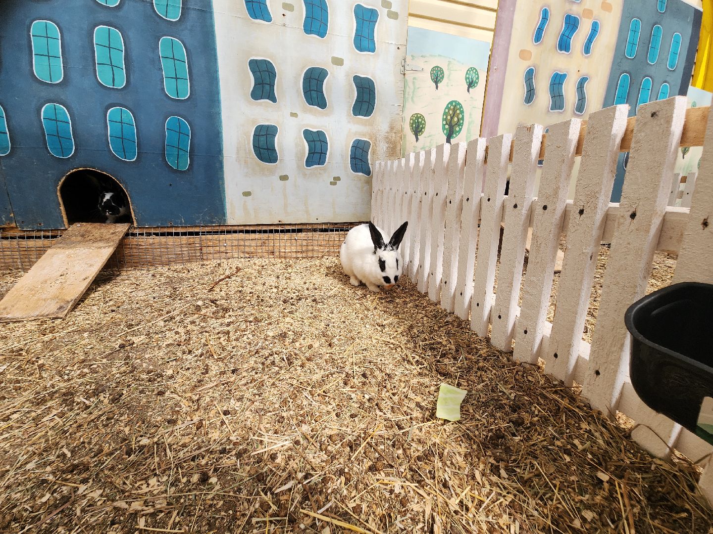 серпухов, подмосковье, русский страус,