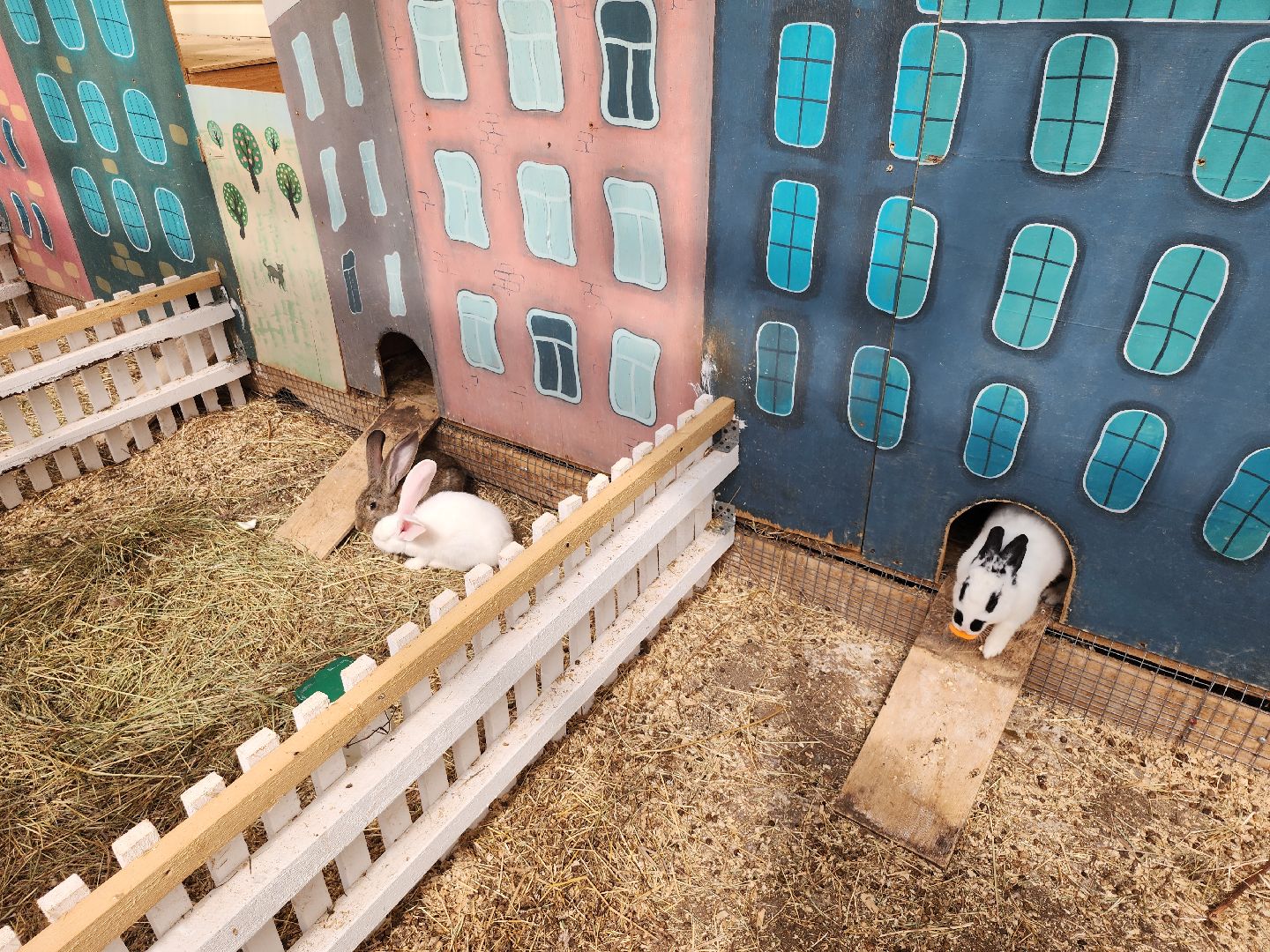 серпухов, подмосковье, русский страус,