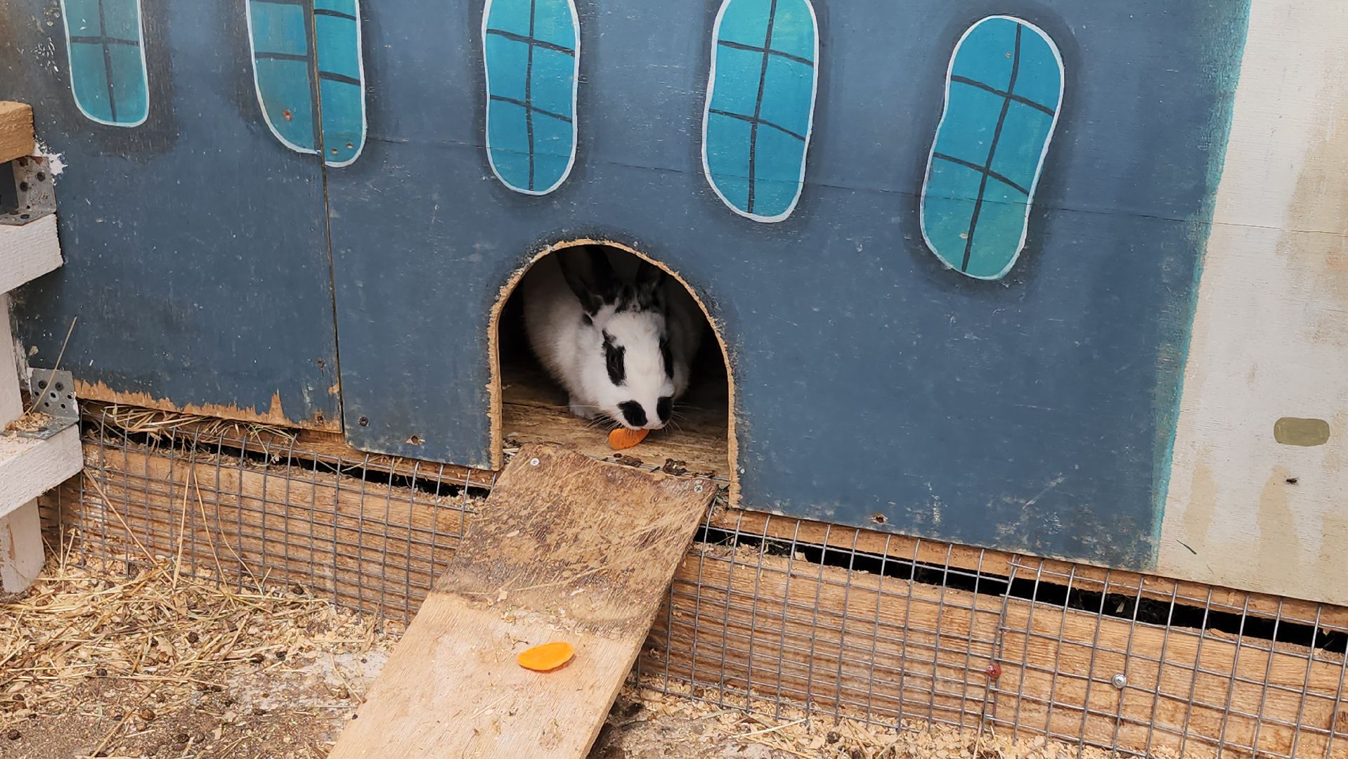 серпухов, подмосковье, русский страус,