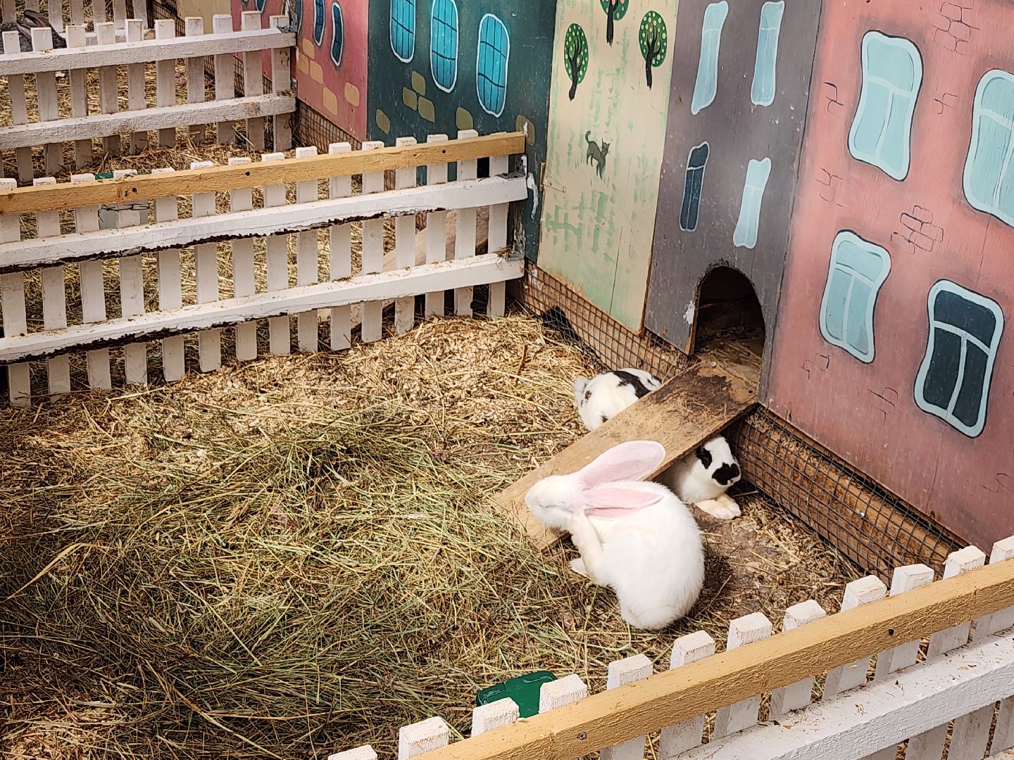 серпухов, подмосковье, русский страус,