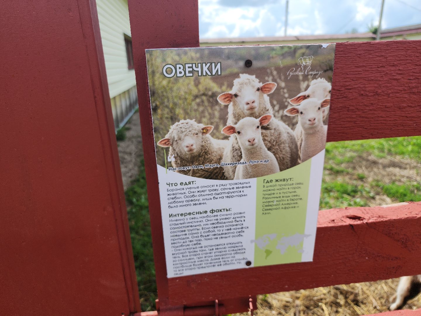 серпухов, подмосковье, козы, ферма, туризм, сельское хозяйство,