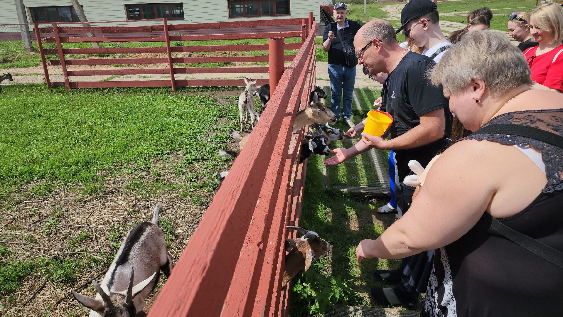серпухов, подмосковье, козы, ферма, туризм, сельское хозяйство,