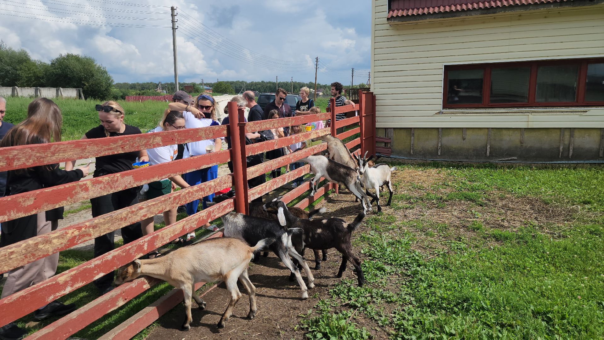 серпухов, подмосковье, козы, ферма, туризм, сельское хозяйство,