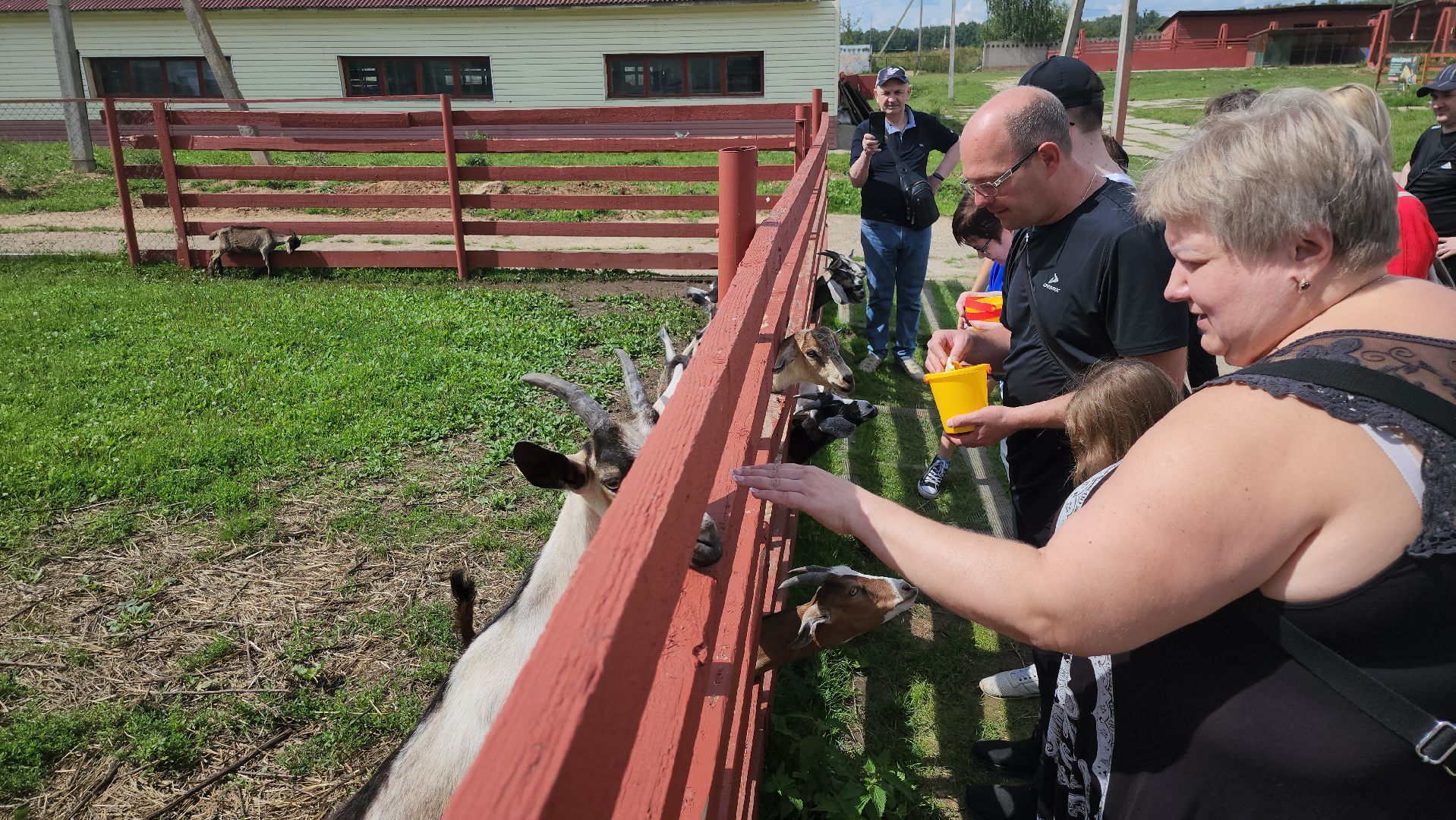 серпухов, подмосковье, козы, ферма, туризм, сельское хозяйство,