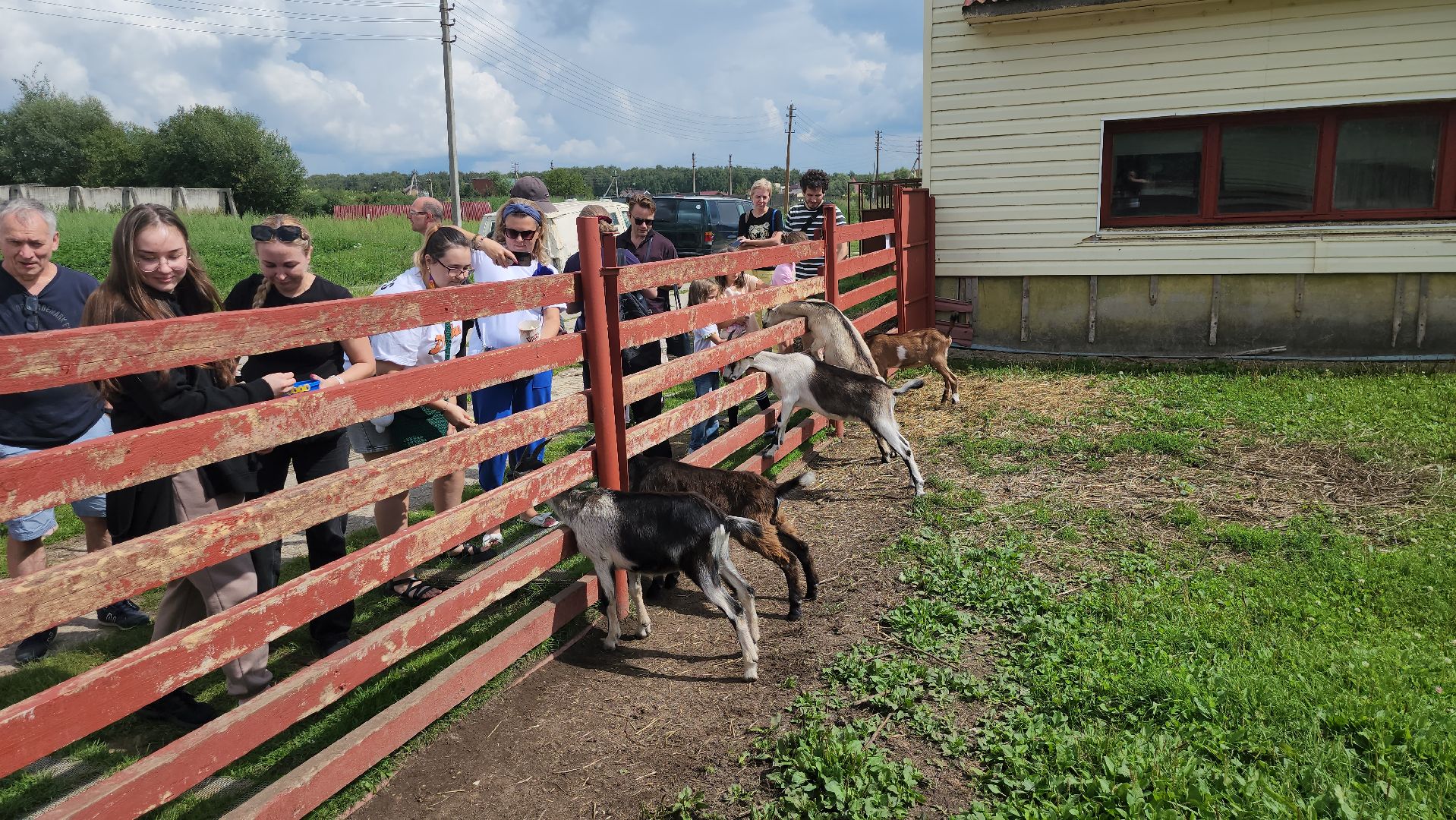 серпухов, подмосковье, козы, ферма, туризм, сельское хозяйство,