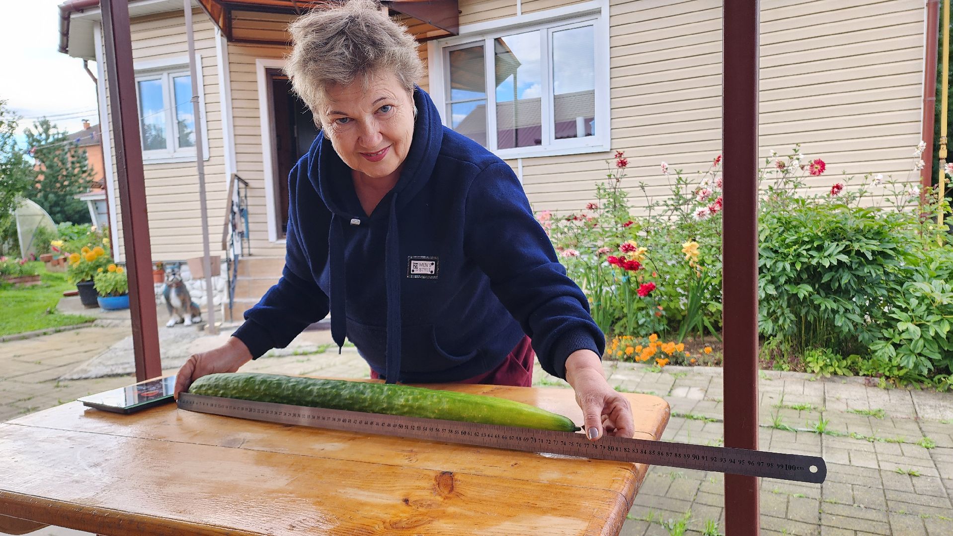 Огурец, Огурец-гигант, Домодедово, Огород, Подмосковье,