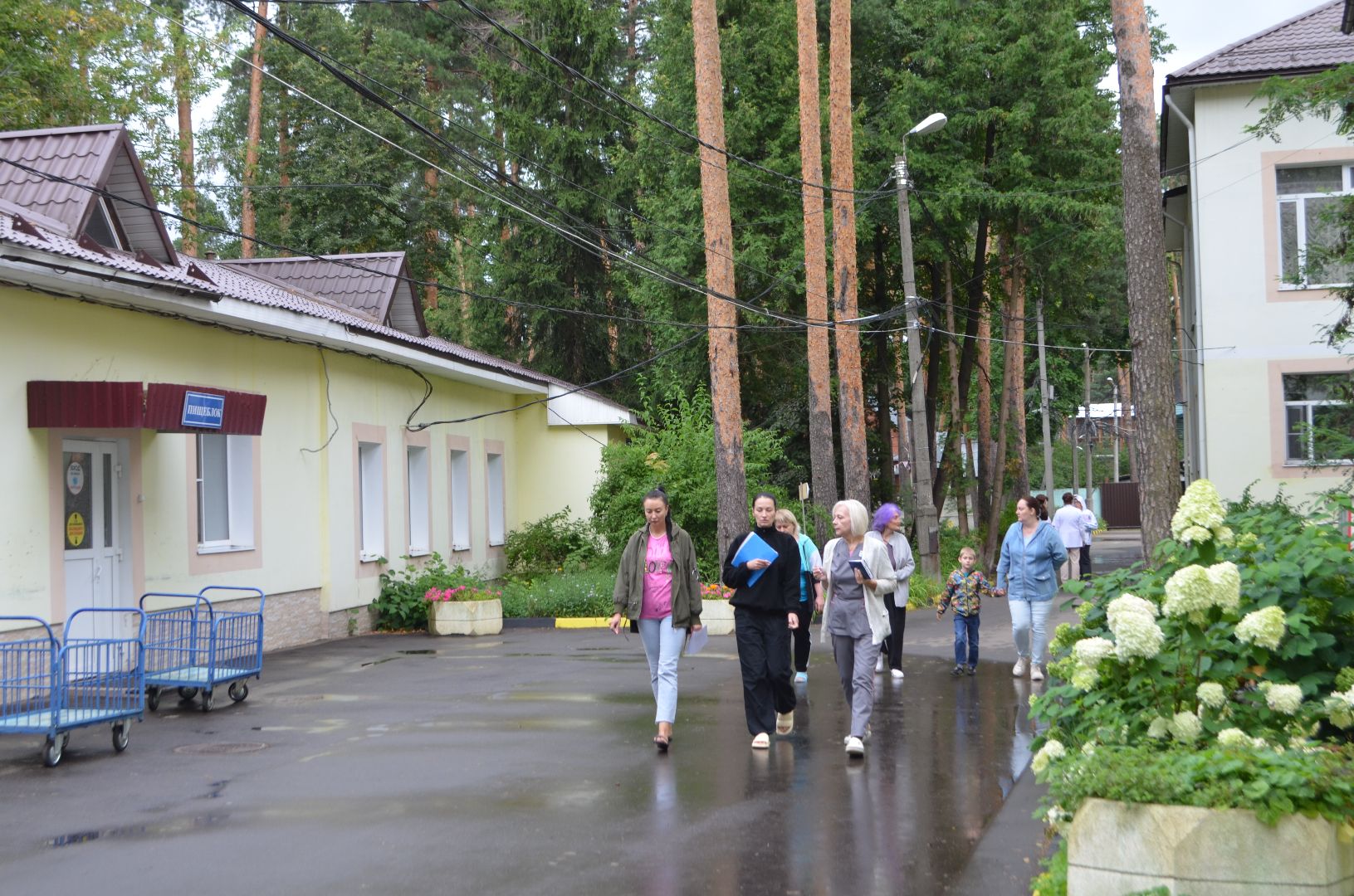 люберцы, эвакуация, дети, курская область,