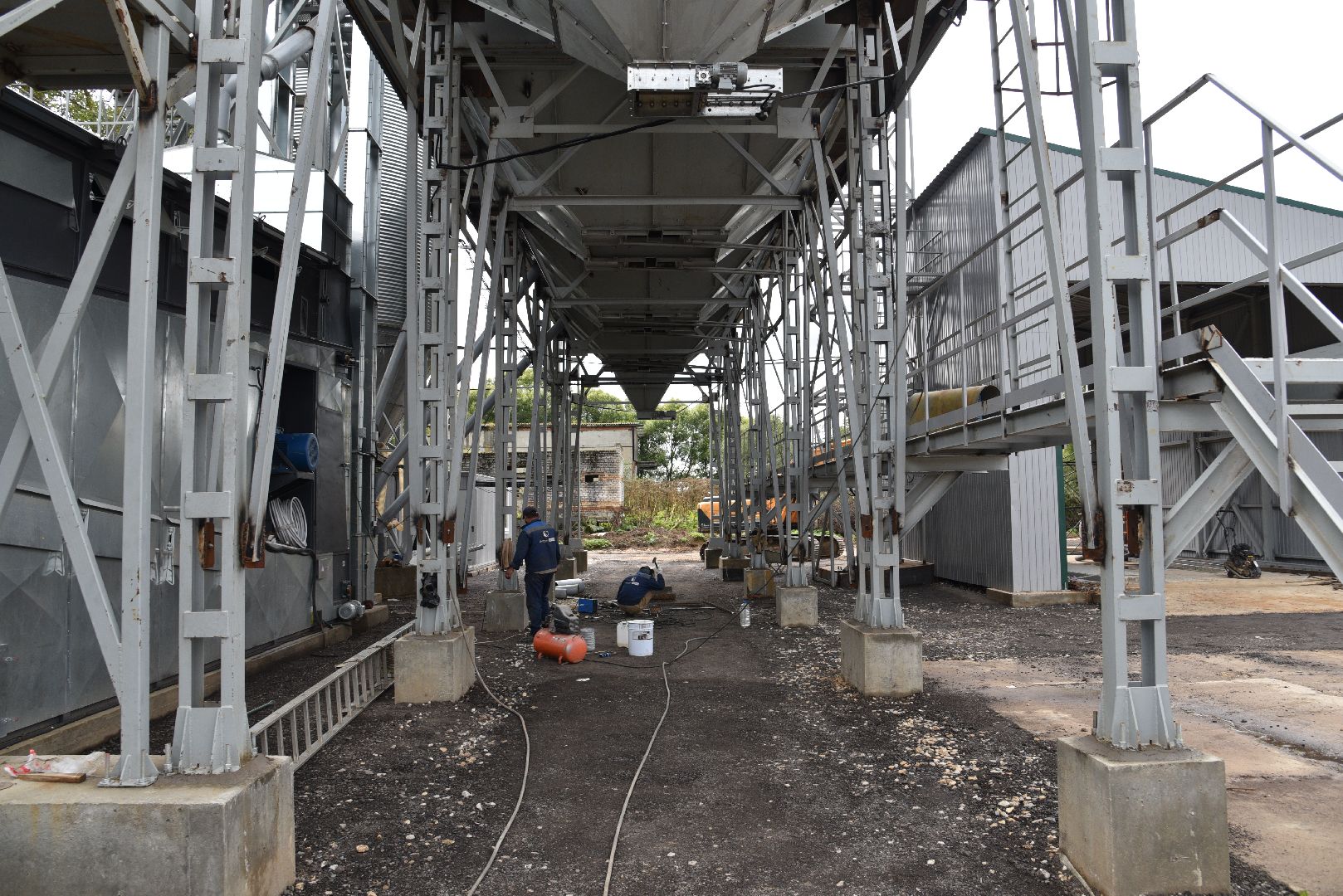 лотошино, ушаково, сельское хозяйство, агрокомплекс, зерно,