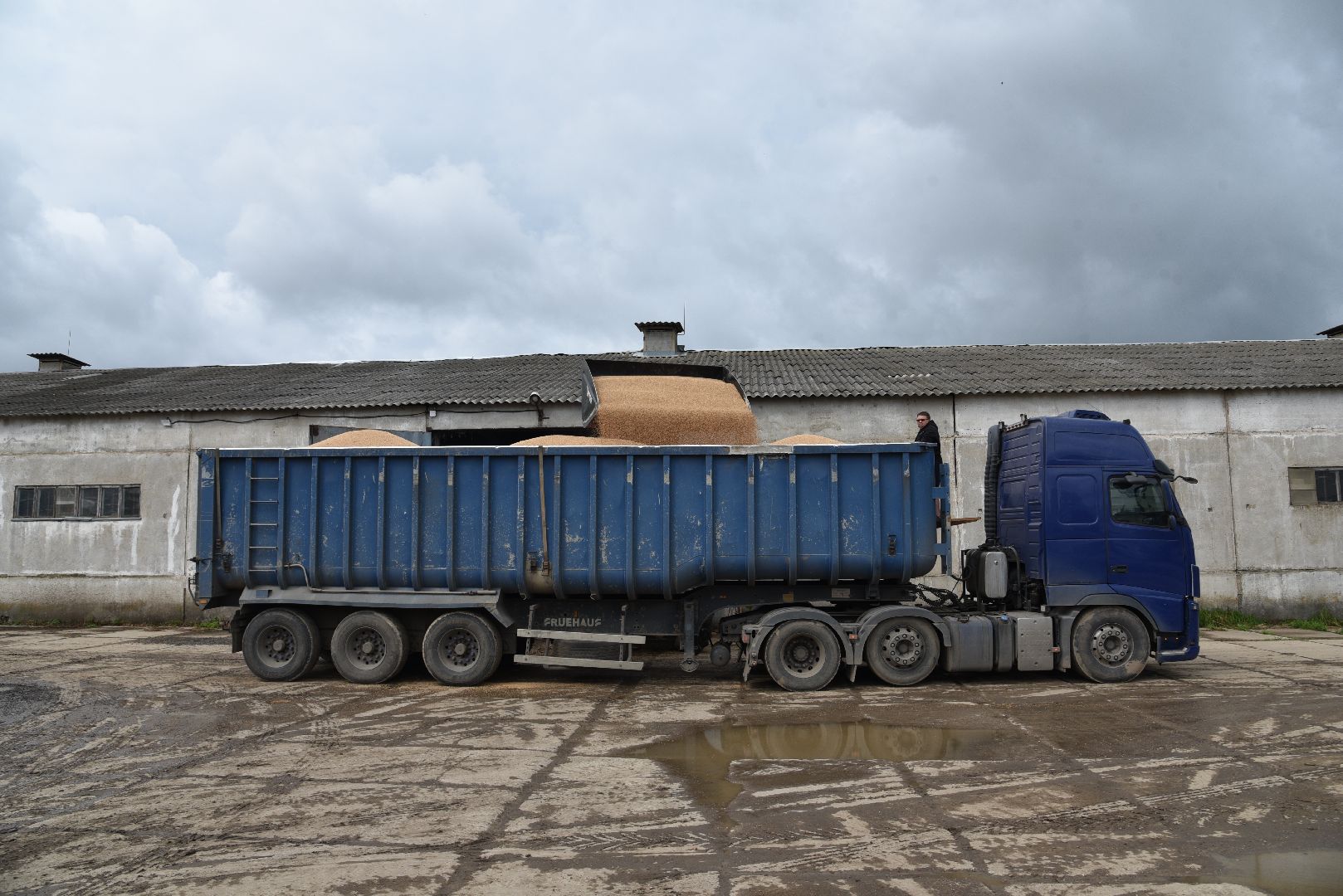 лотошино, ушаково, сельское хозяйство, агрокомплекс, зерно,