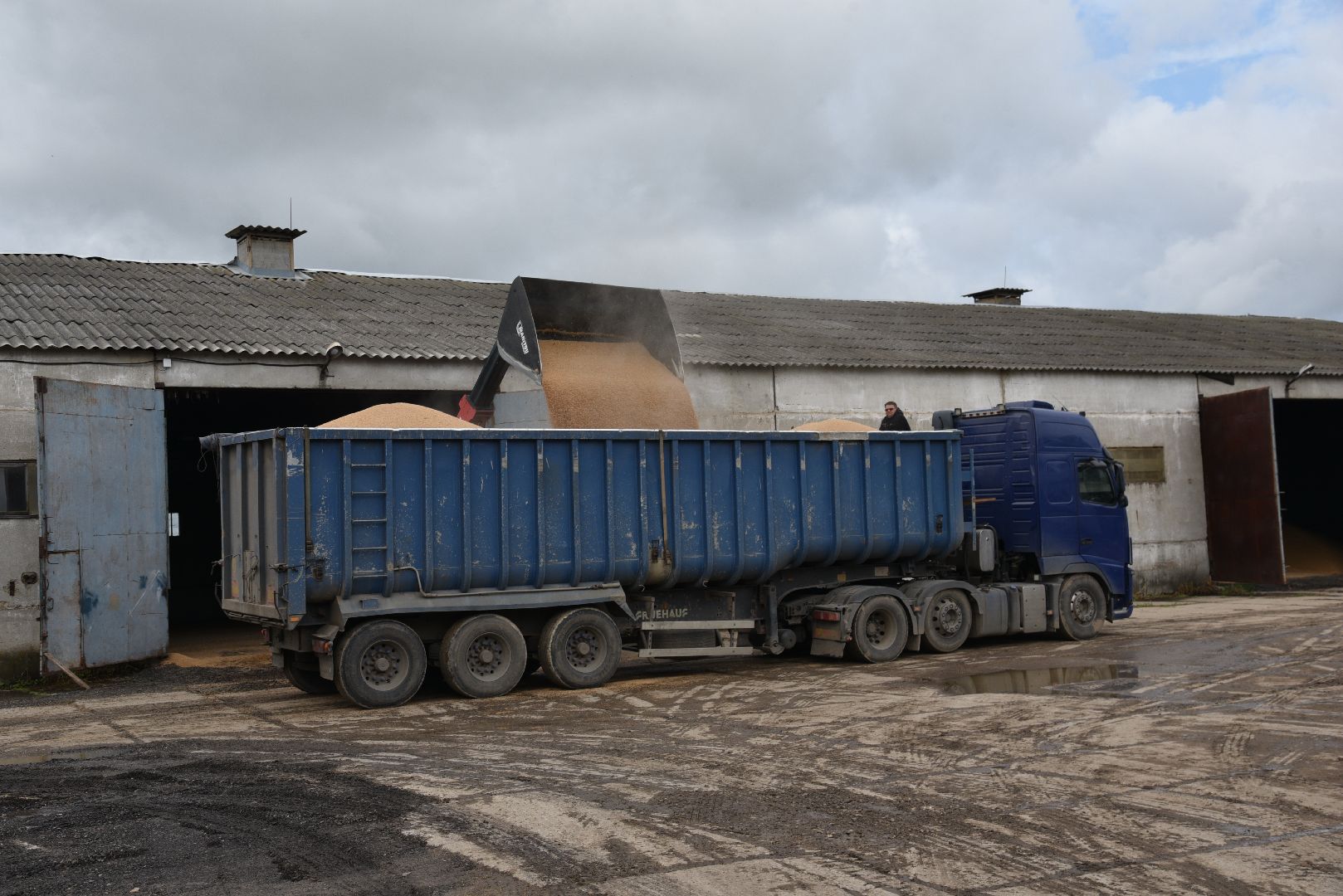 лотошино, ушаково, сельское хозяйство, агрокомплекс, зерно,