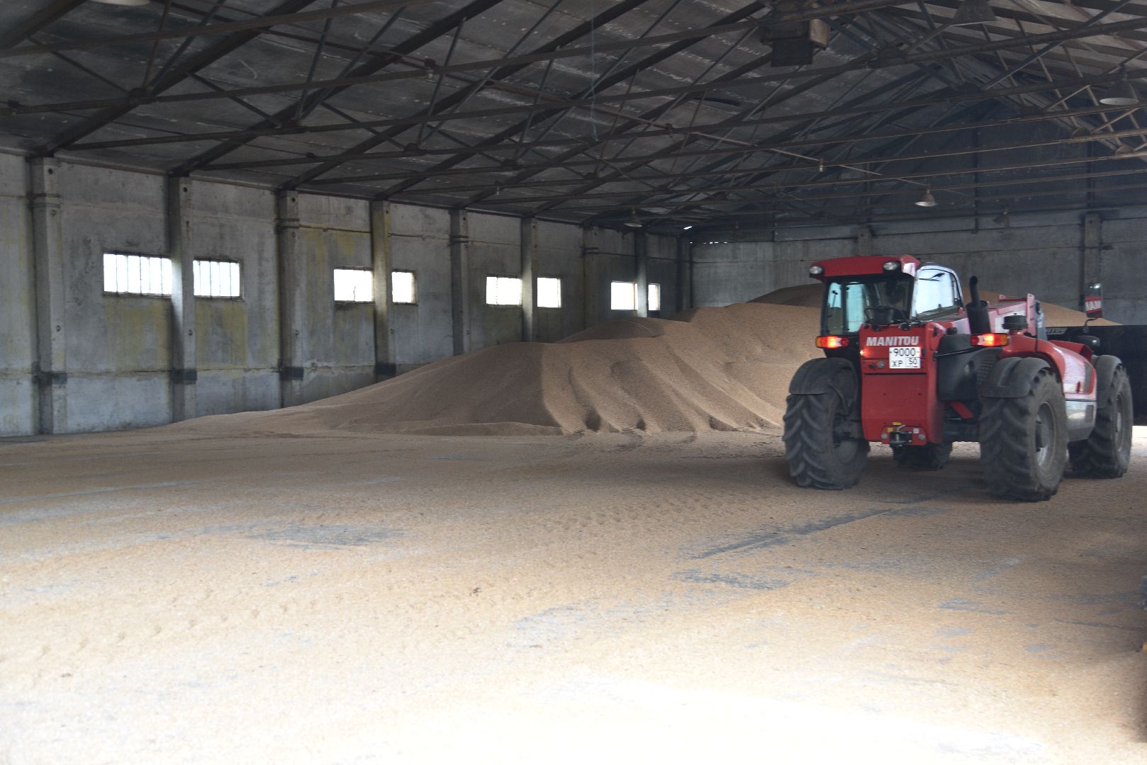 лотошино, ушаково, сельское хозяйство, агрокомплекс, зерно,