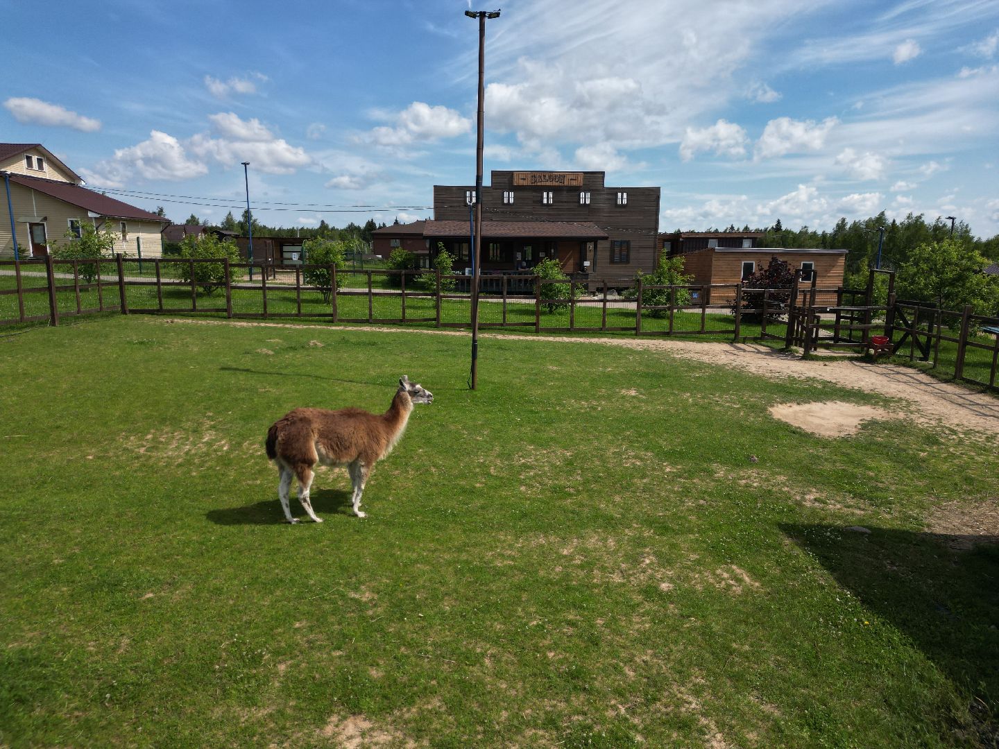 видео с коптера, ферма, дмитров,