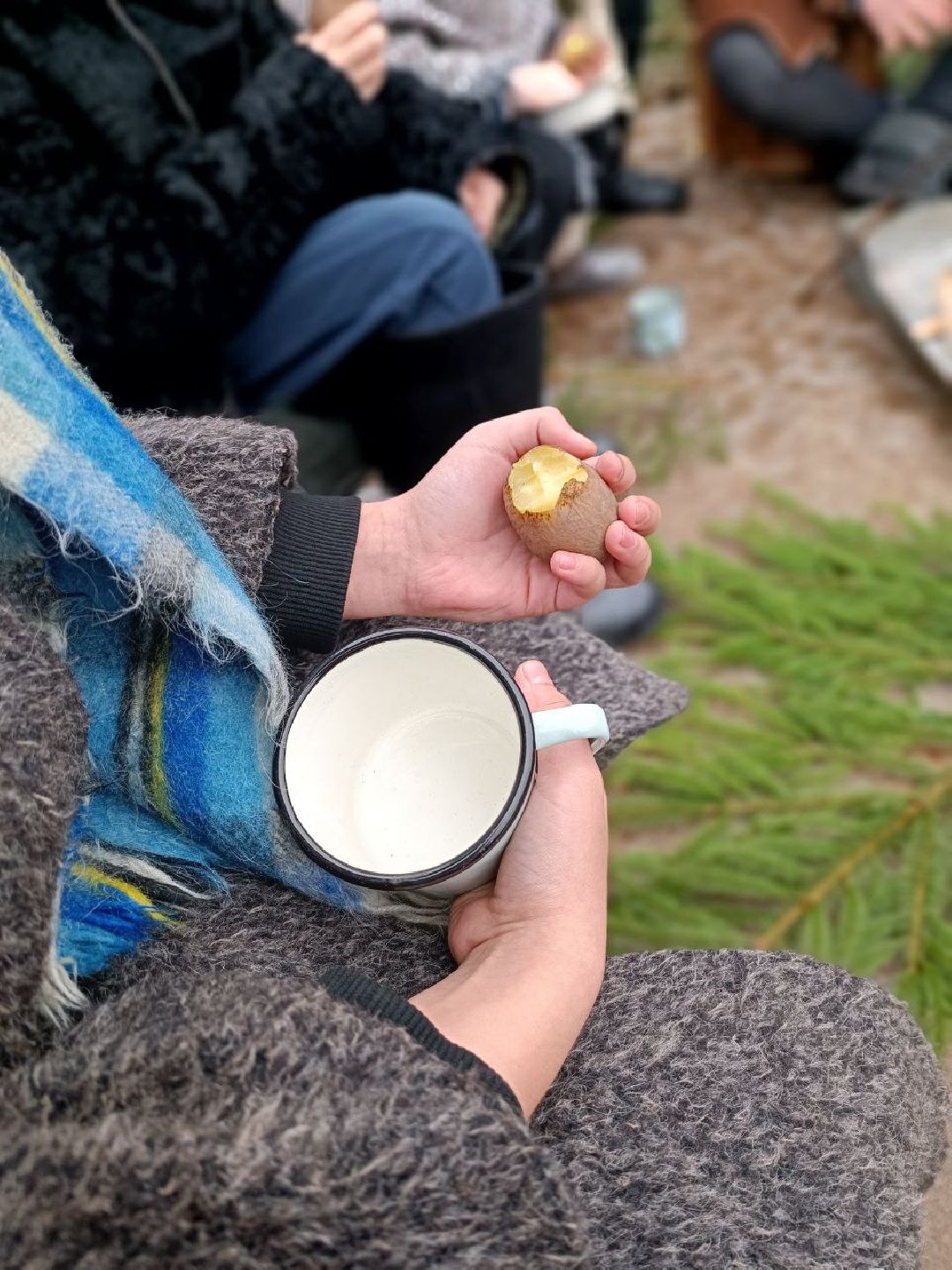 Можайск, общество