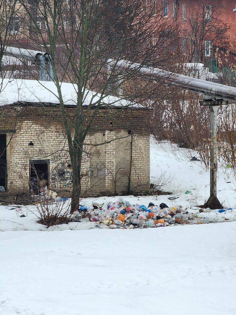 выездная администрация, благоустройство, обращения жителей, Старая Купавна, Богородский городской округ,