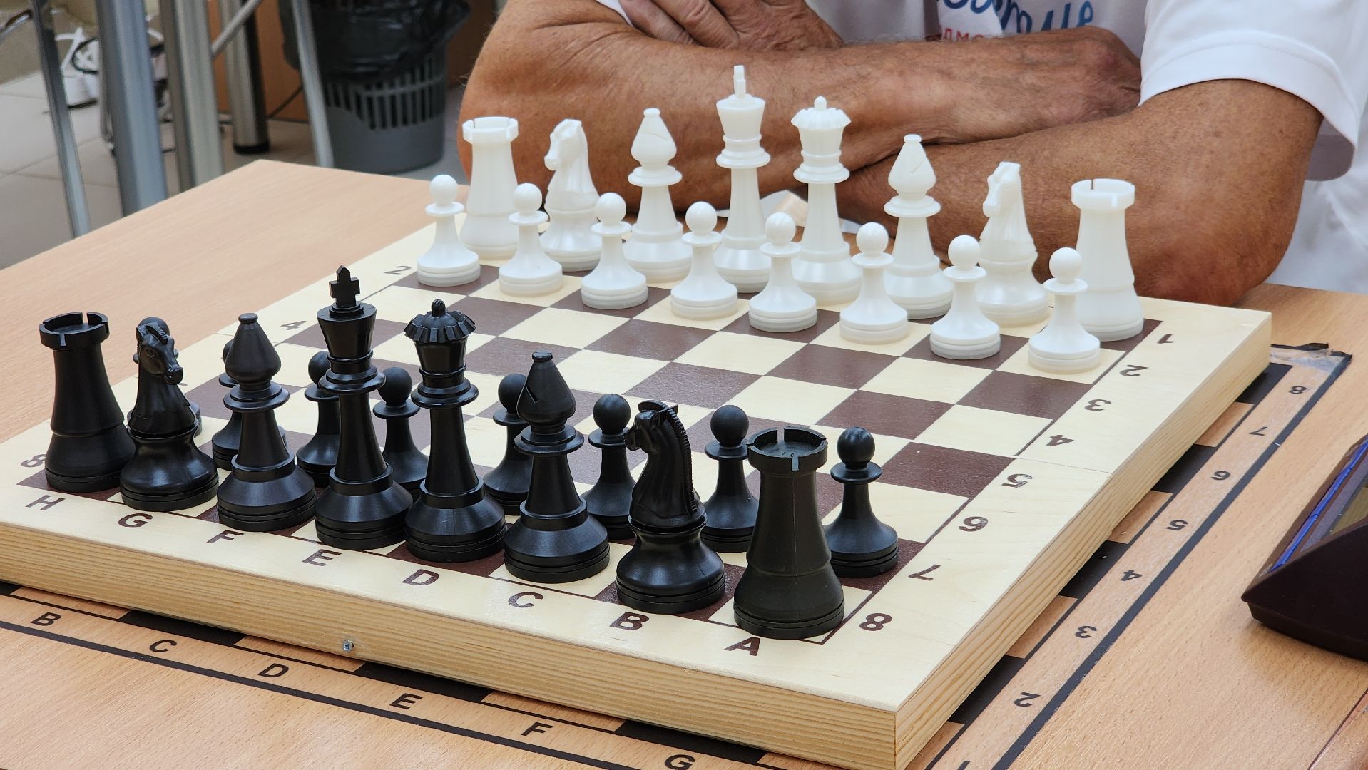 ступино, шашки, шахматы, спорт подмосковья, активное долголетие,